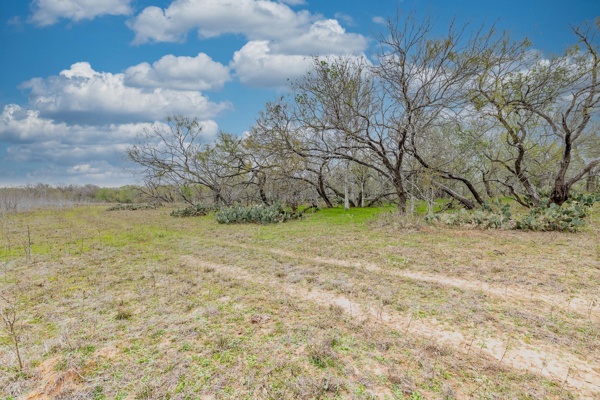 TBD Cr 157, Gonzales, TX 78629