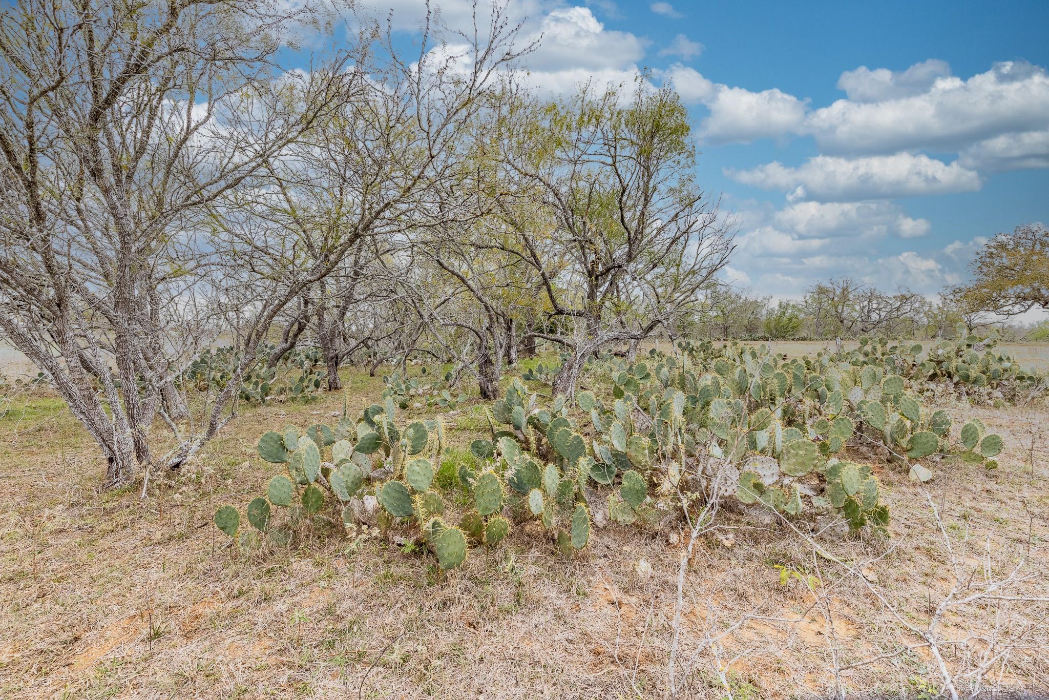 TBD Cr 157, Gonzales, TX 78629