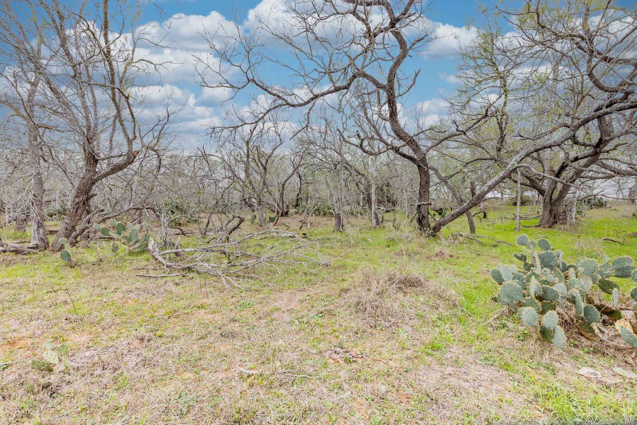 TBD Cr 157, Gonzales, TX 78629