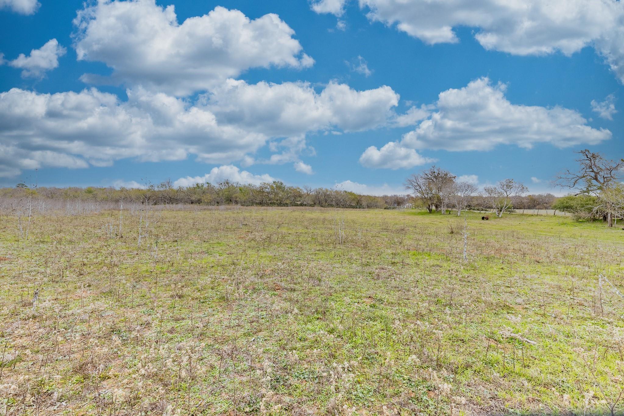 TBD Cr 157, Gonzales, TX 78629