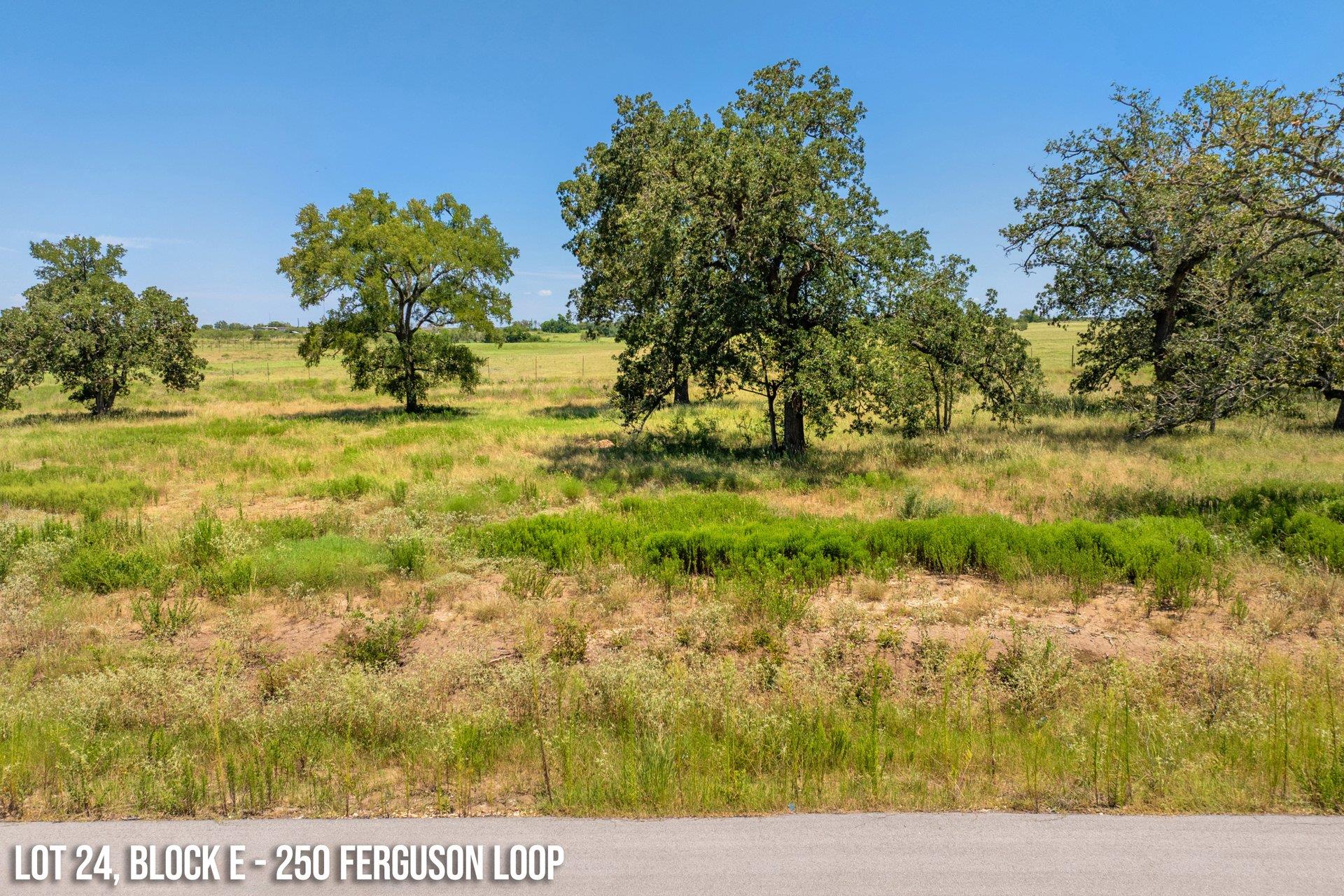 250 Ferguson Loop, Dale, TX 78616