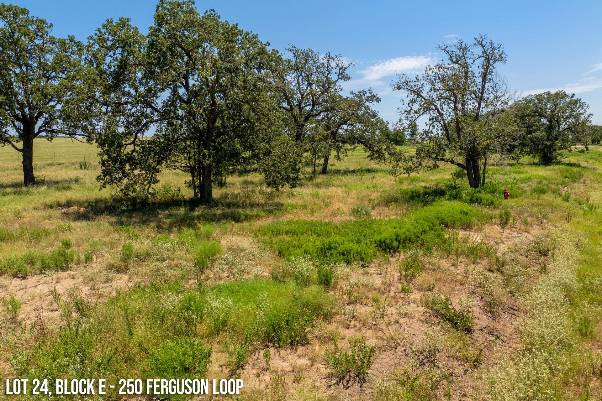 250 Ferguson Loop, Dale, TX 78616