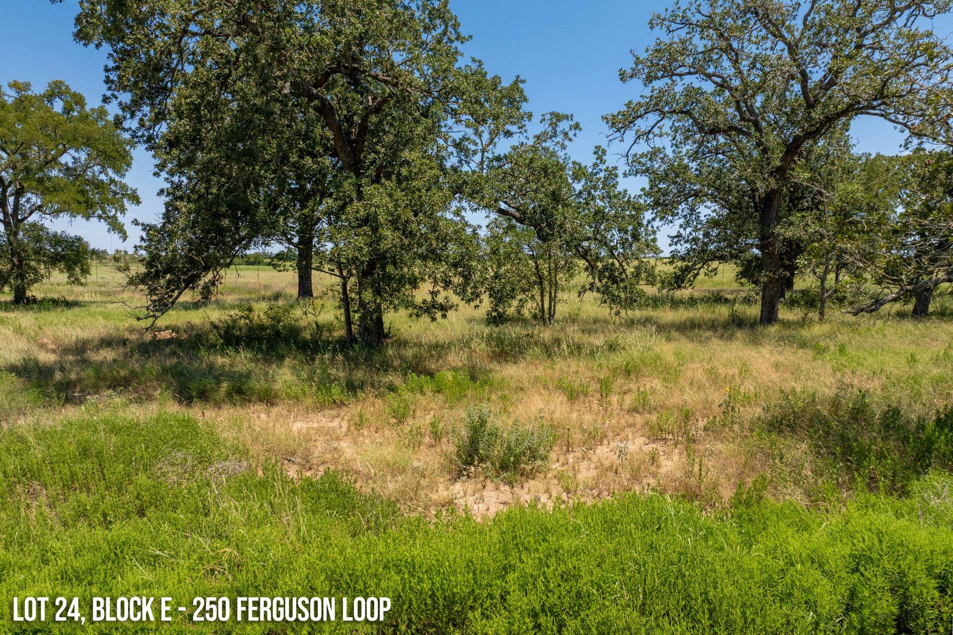 250 Ferguson Loop, Dale, TX 78616