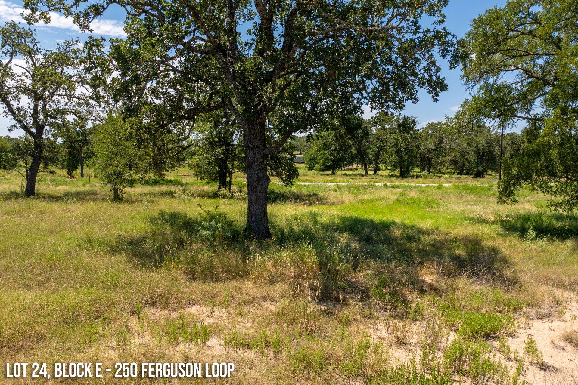 250 Ferguson Loop, Dale, TX 78616