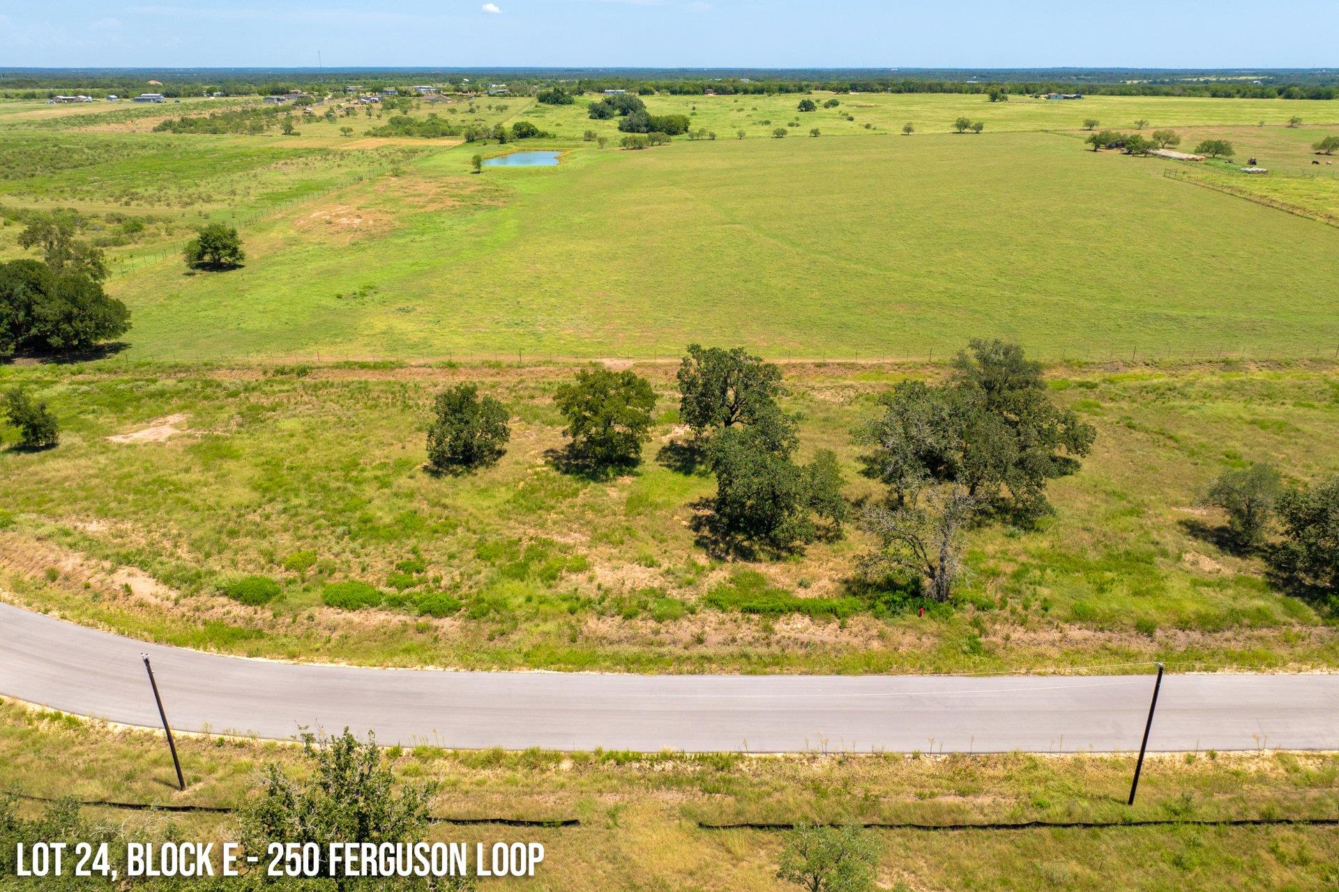 250 Ferguson Loop, Dale, TX 78616