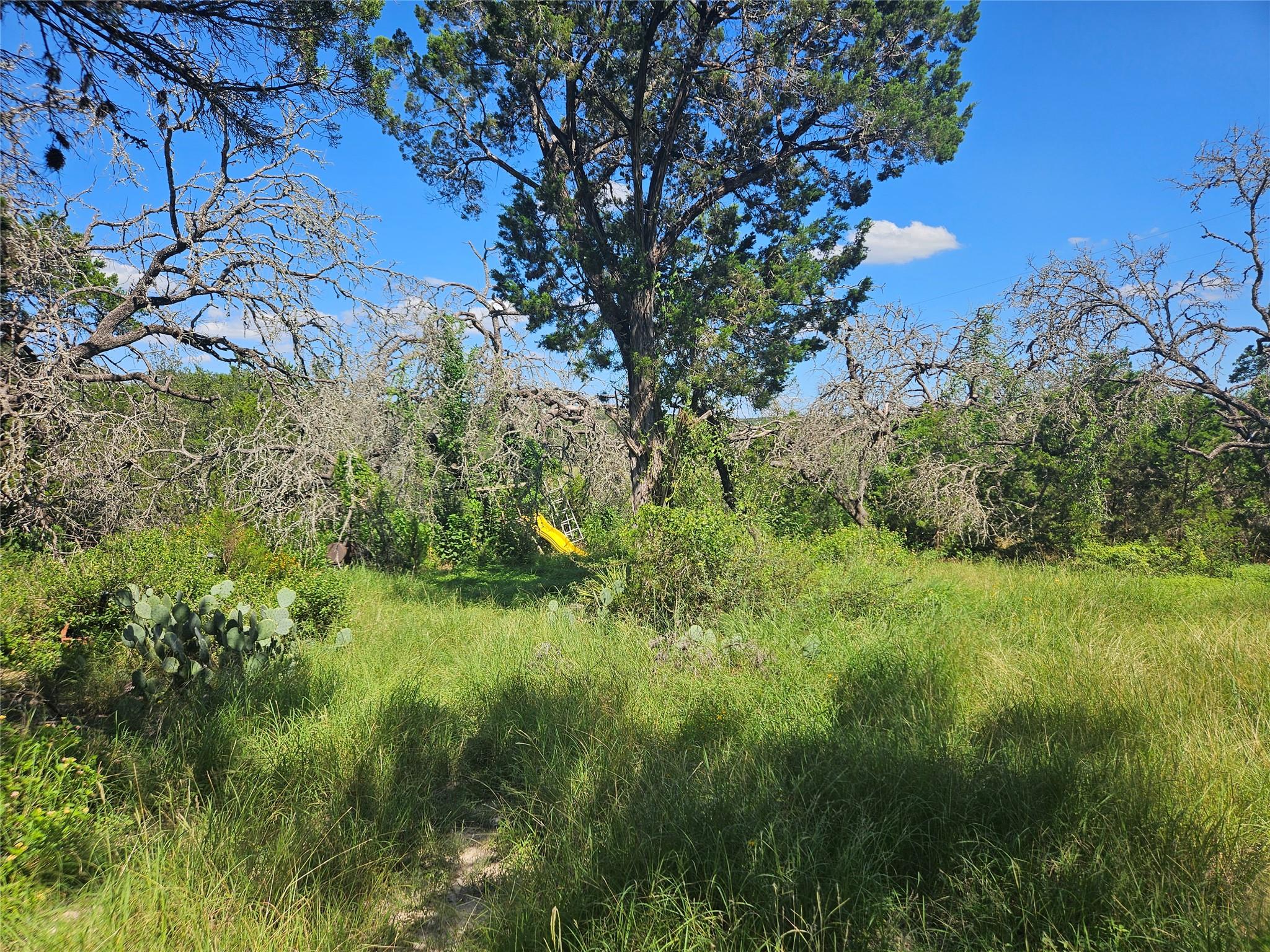 3183 Drapers Cv, Lago Vista, TX 78645