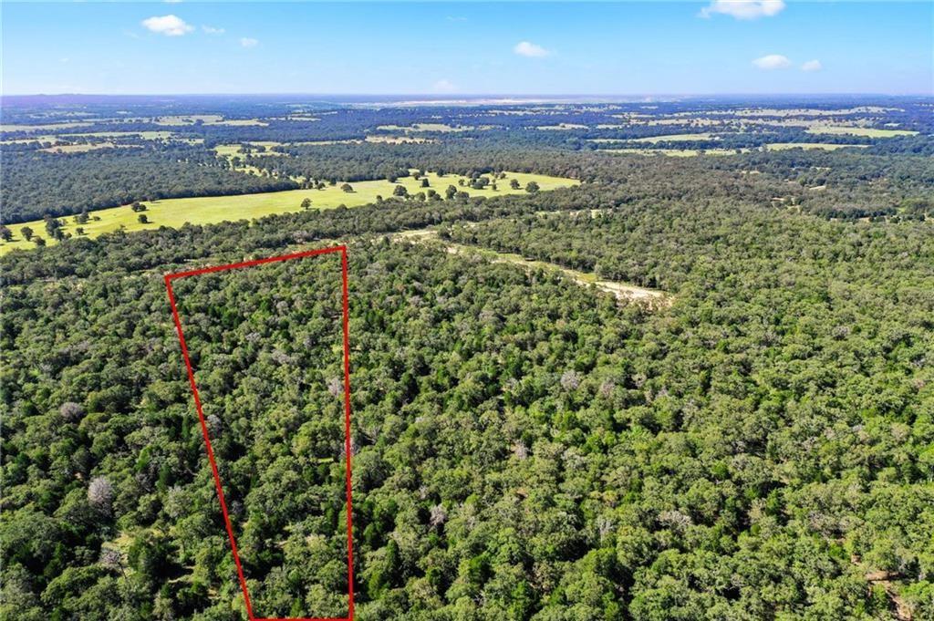 1136 Oak View Ln # LOT 34, Thrall, TX 76578