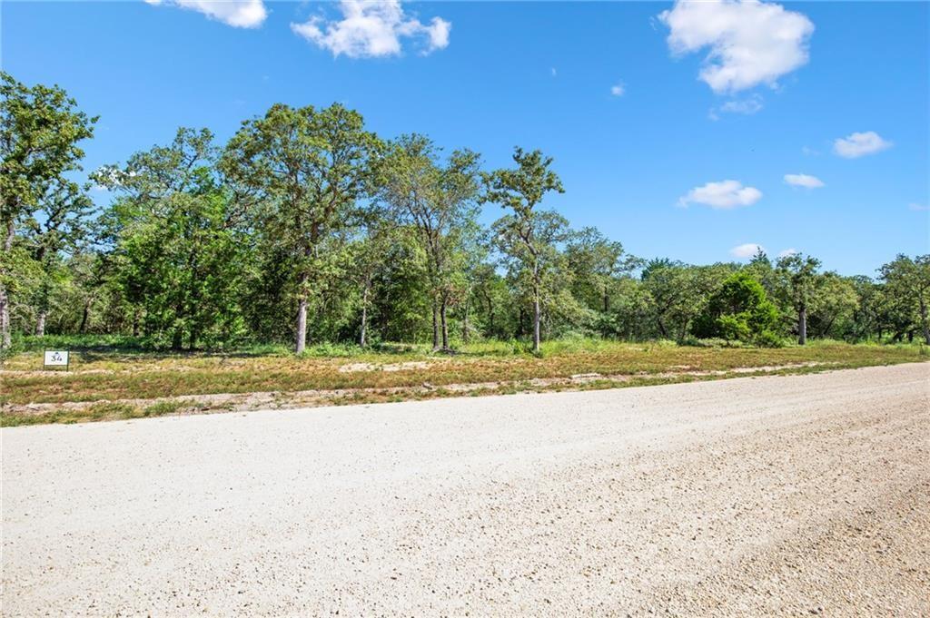 1136 Oak View Ln # LOT 34, Thrall, TX 76578