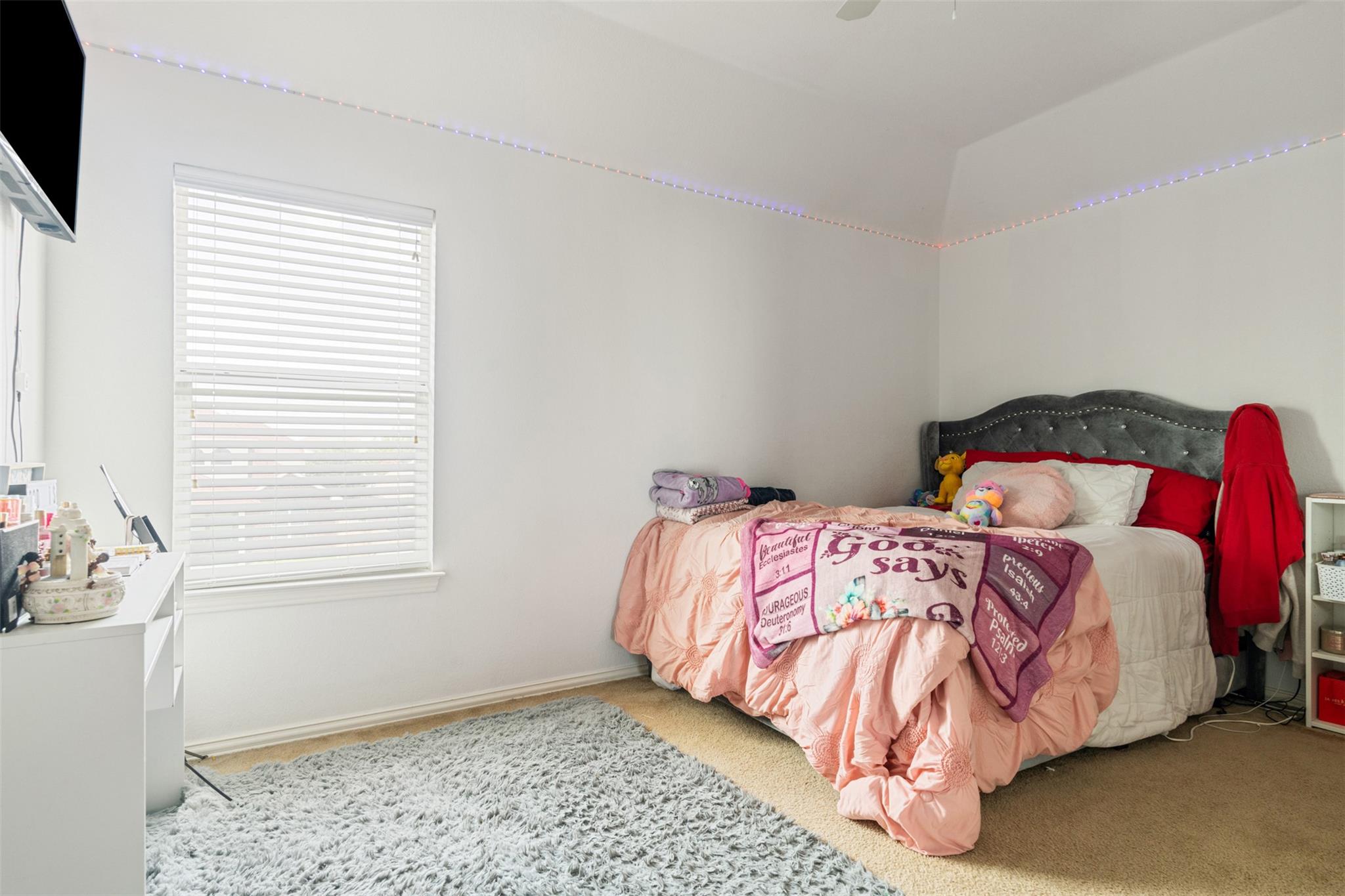 1002 Wallin Farms Cv, Hutto, TX 78634