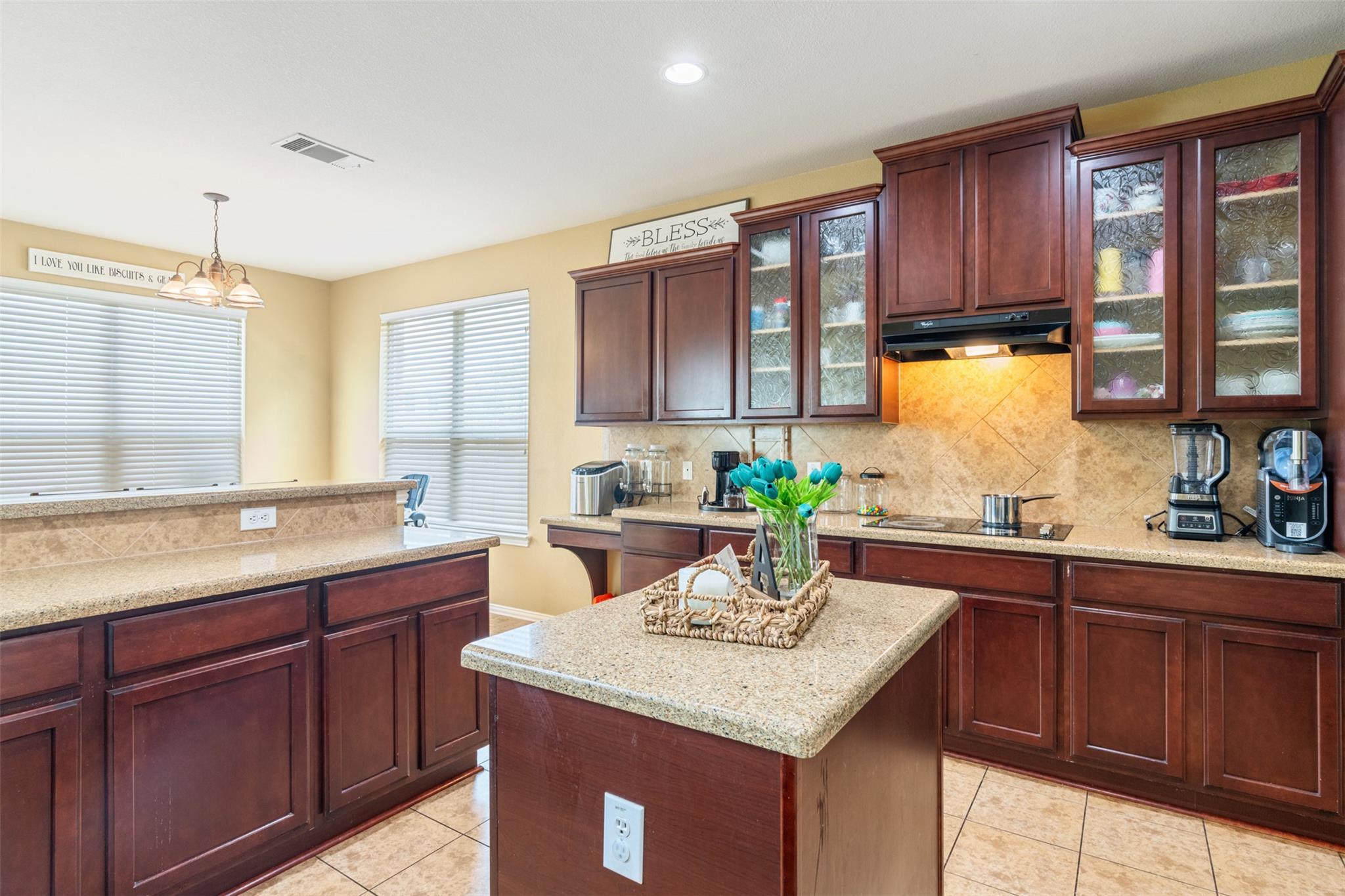 1002 Wallin Farms Cv, Hutto, TX 78634