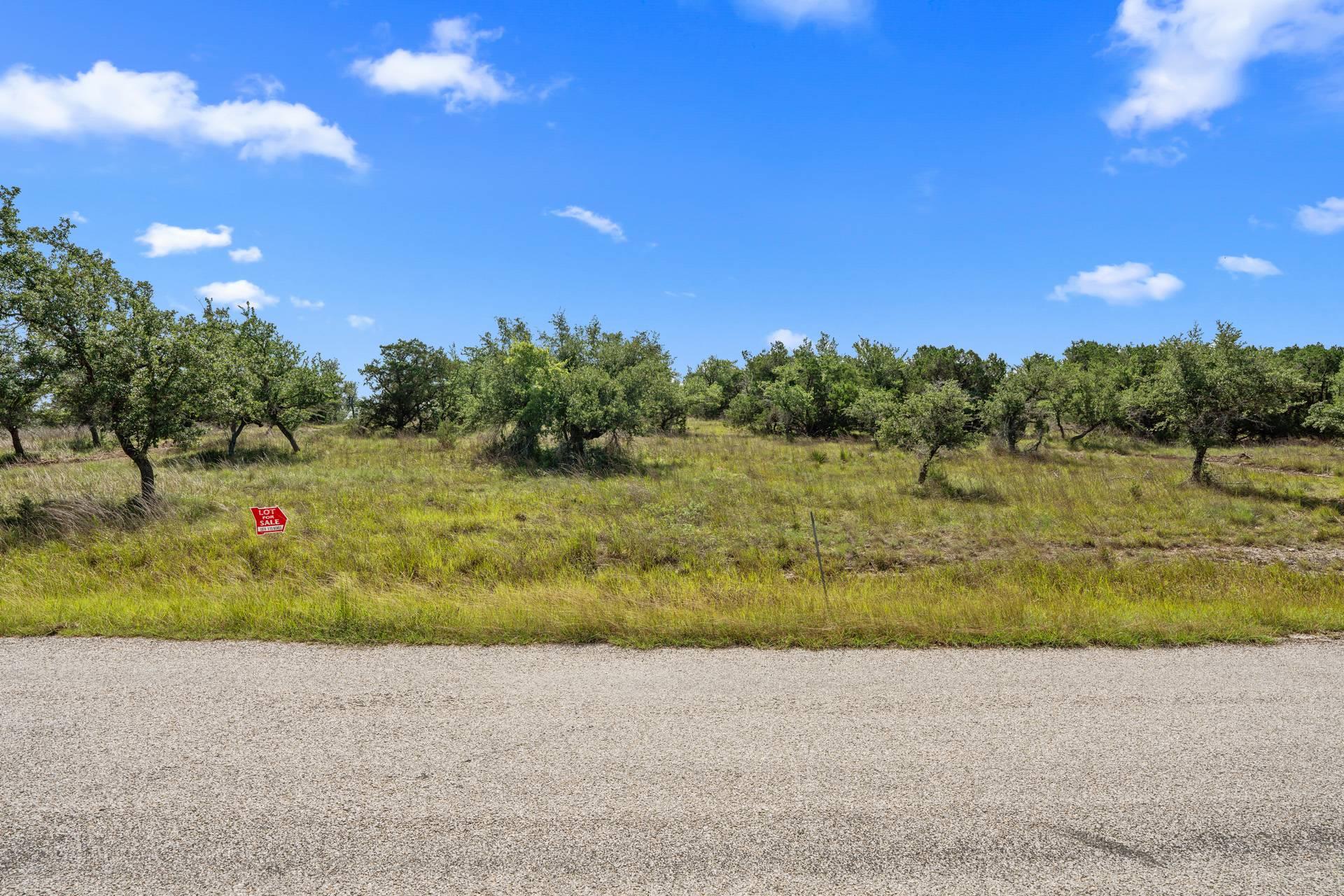 31890 Mirela Ann Rd, Dripping Springs, TX 78620