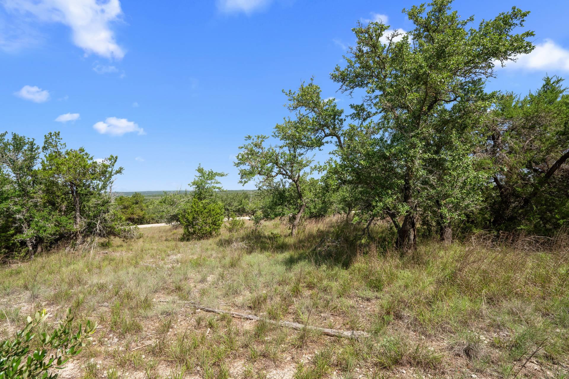 31890 Mirela Ann Rd, Dripping Springs, TX 78620