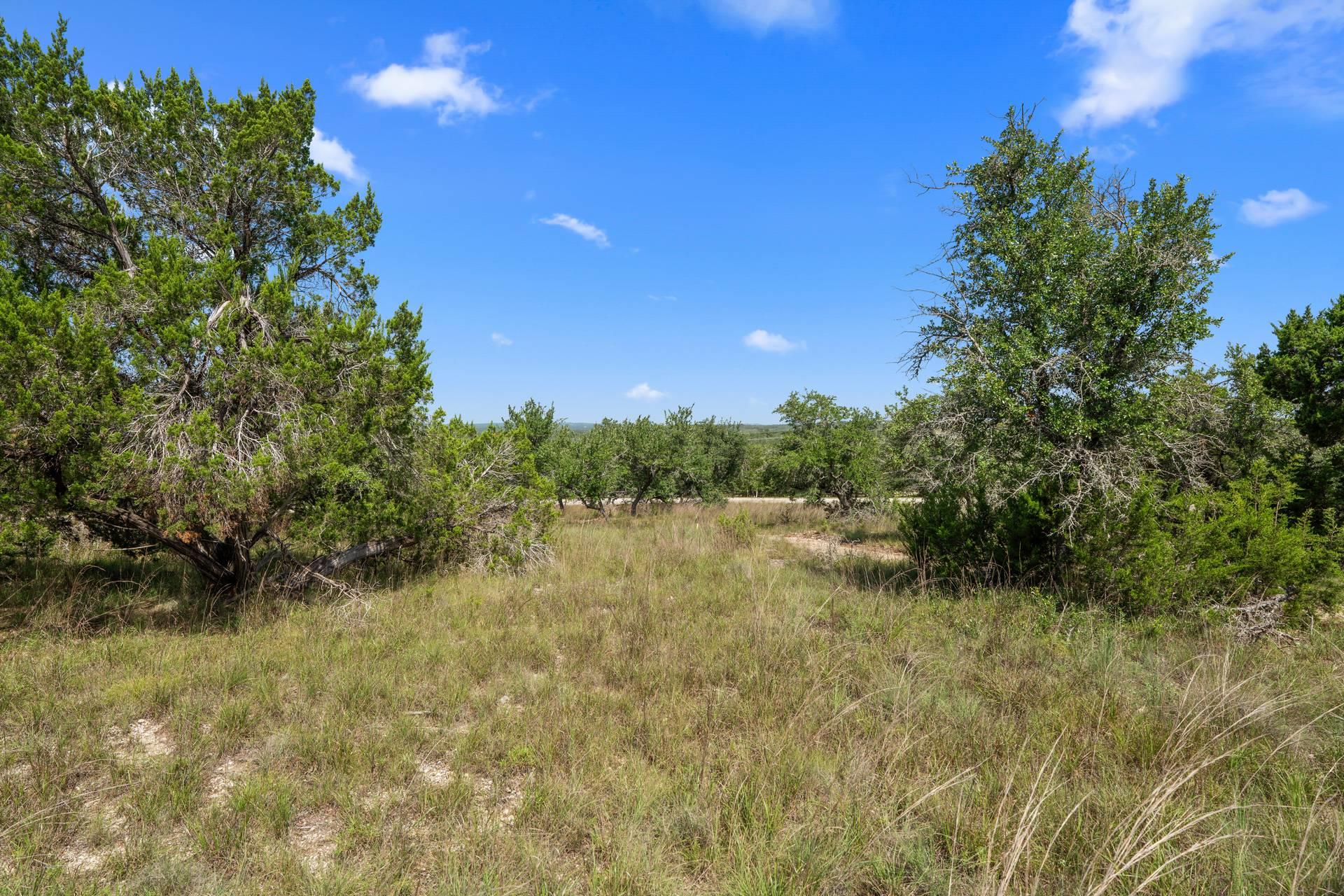 31890 Mirela Ann Rd, Dripping Springs, TX 78620