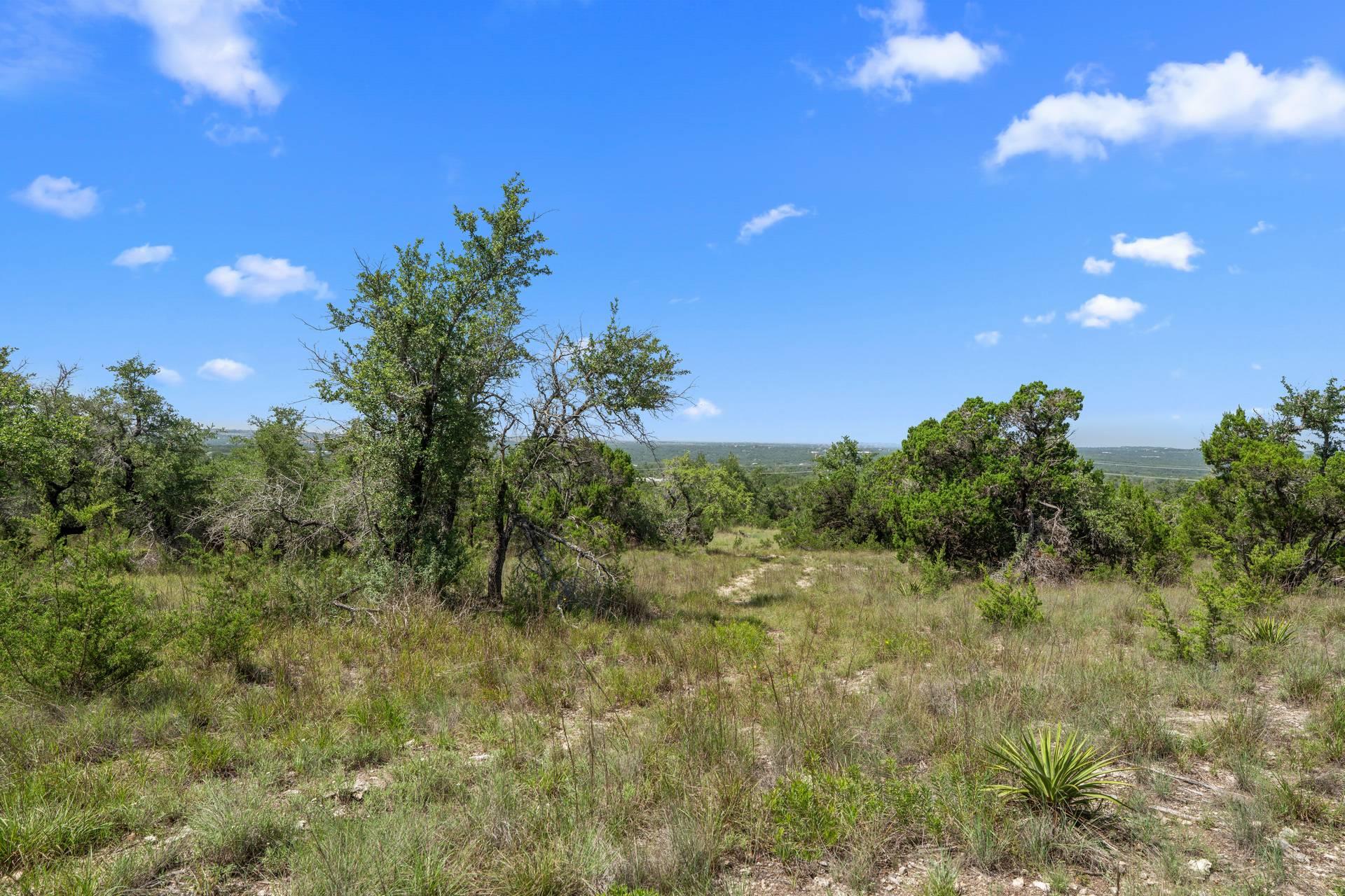 31842 Mirela Ann Rd, Dripping Springs, TX 78620
