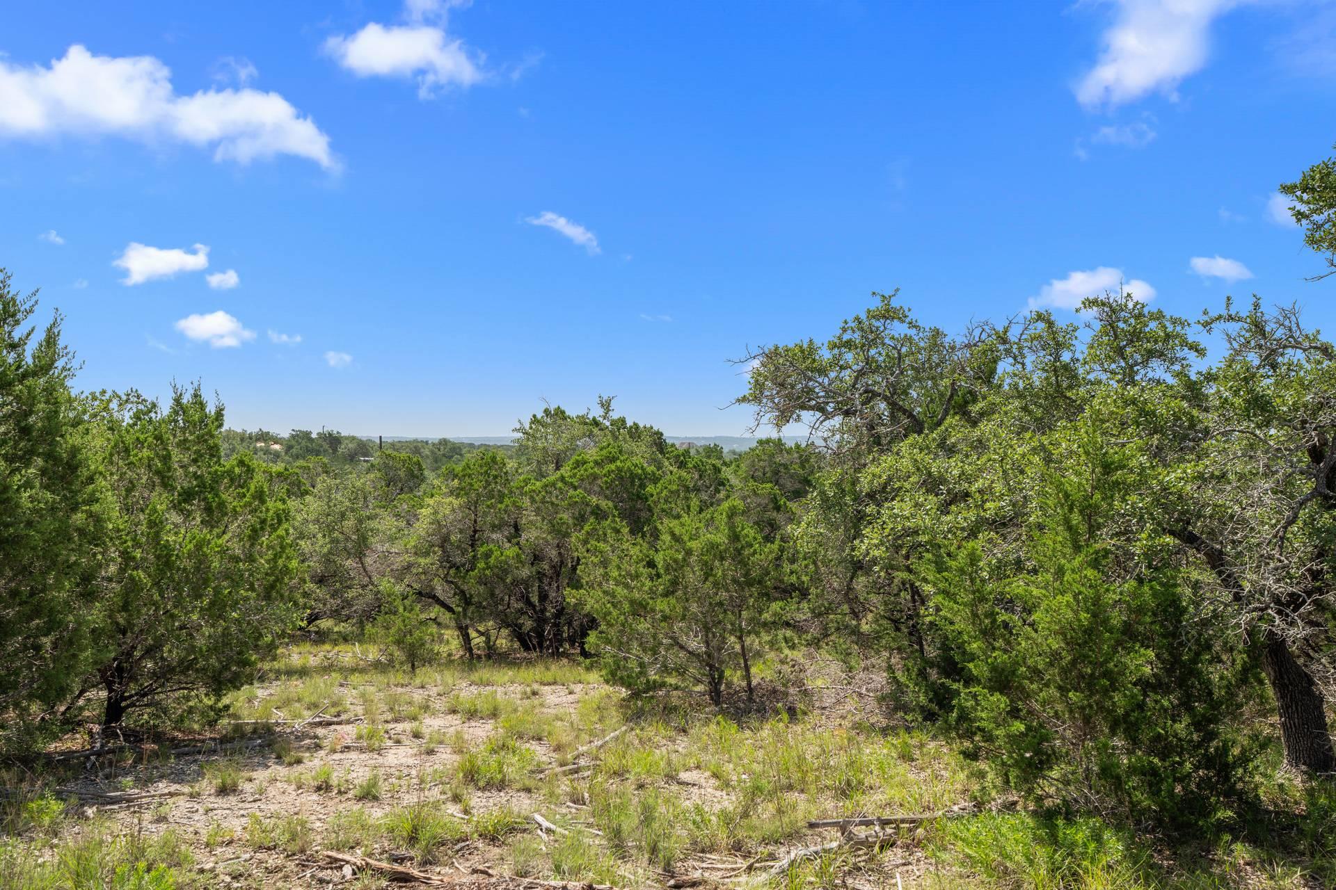 31842 Mirela Ann Rd, Dripping Springs, TX 78620