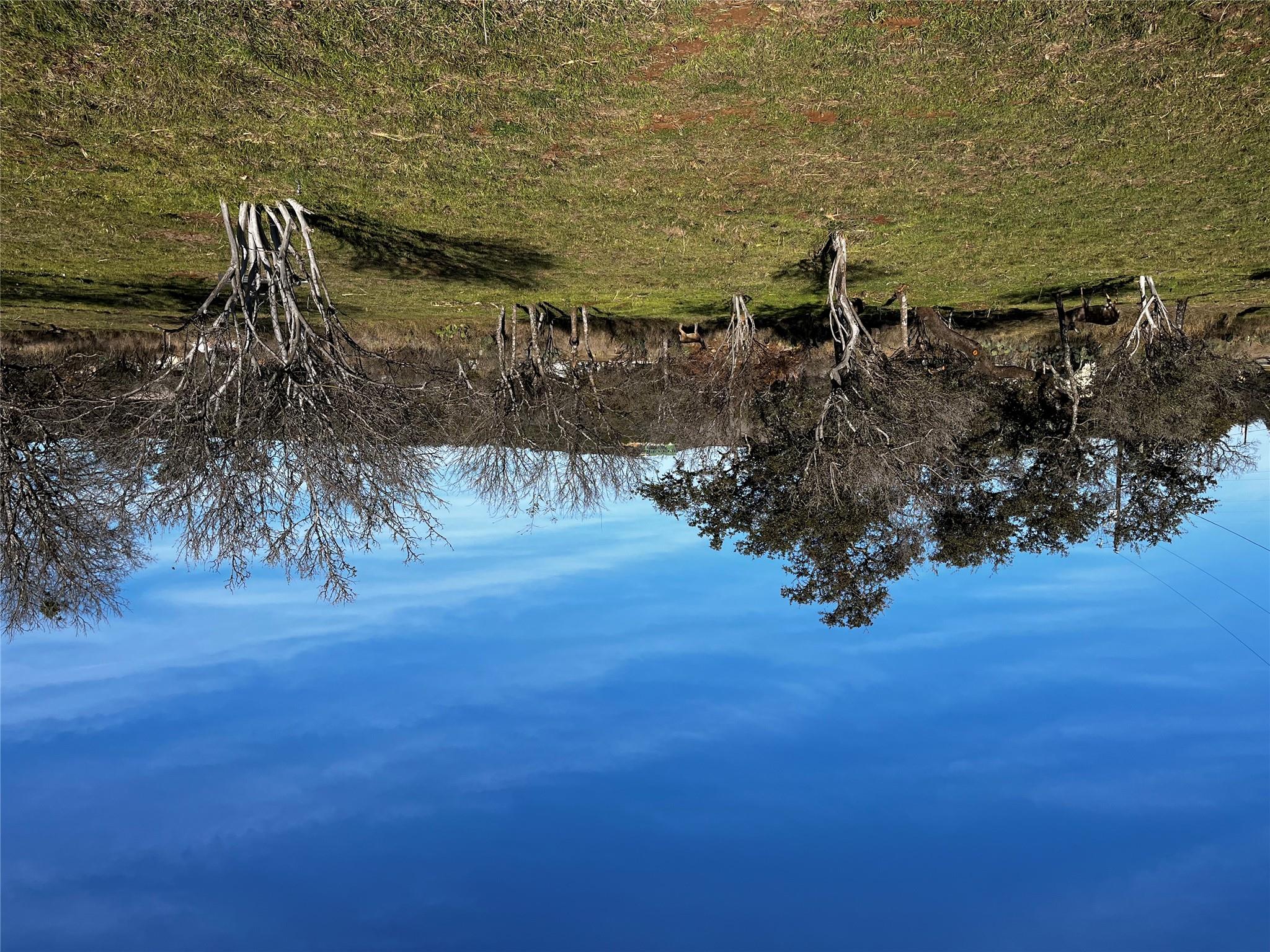 Lots 152 and 153 County Road 128 Rd, Burnet, TX 78611