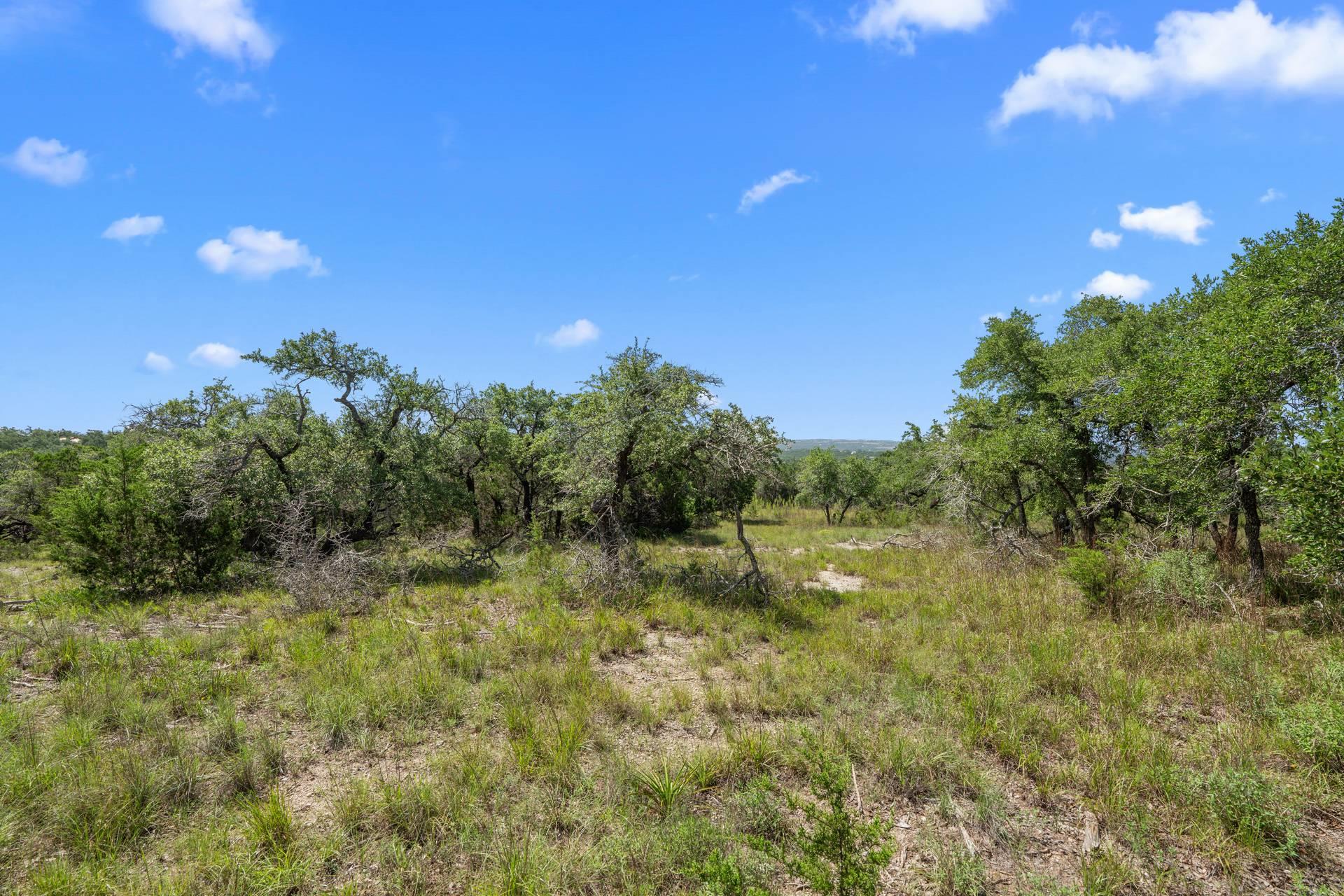 31834 Mirela Ann Rd, Dripping Springs, TX 78620
