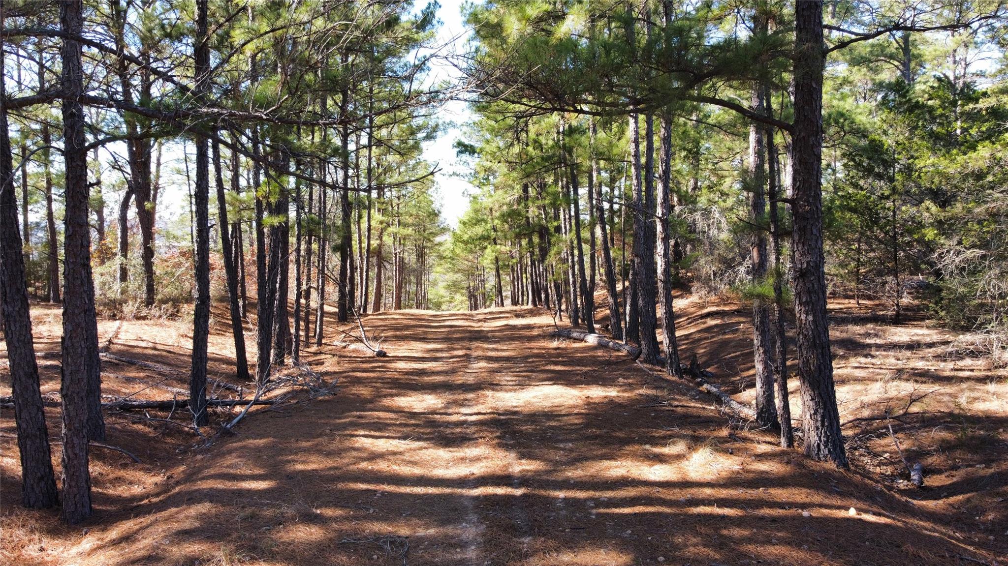 0 Pine Lodge Drive Lot 26, Bastrop, TX 78602