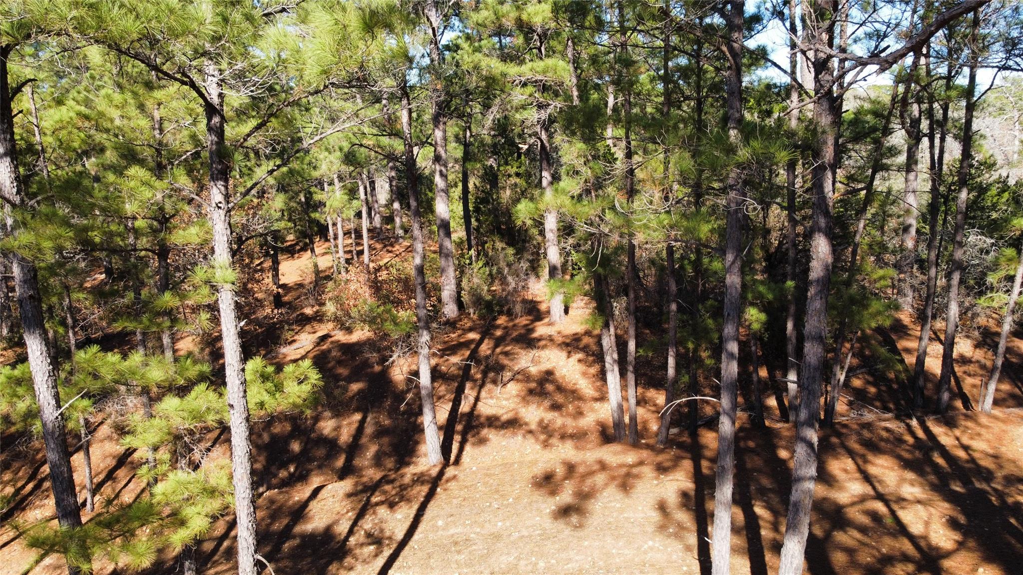 0 Pine Lodge Drive Lot 26, Bastrop, TX 78602