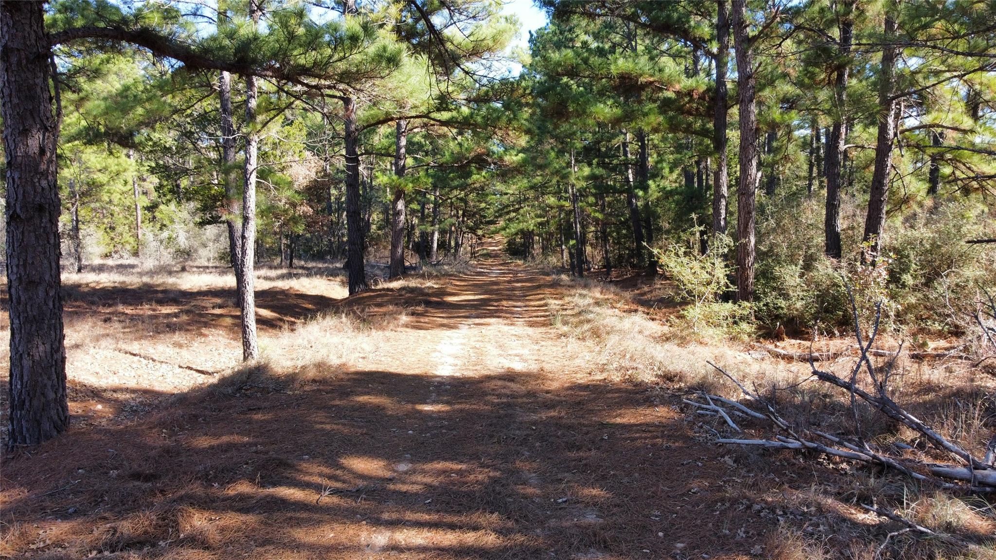 0 Pine Lodge Drive Lot 26, Bastrop, TX 78602