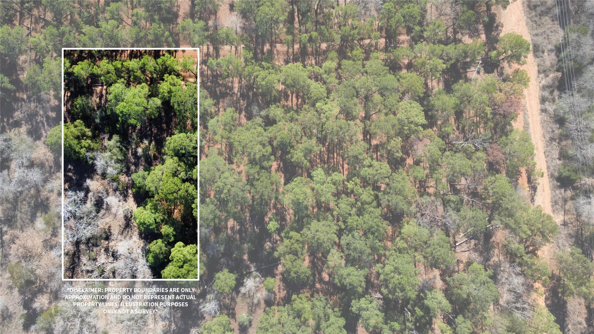 0 Pine Lodge Drive Lot 26, Bastrop, TX 78602