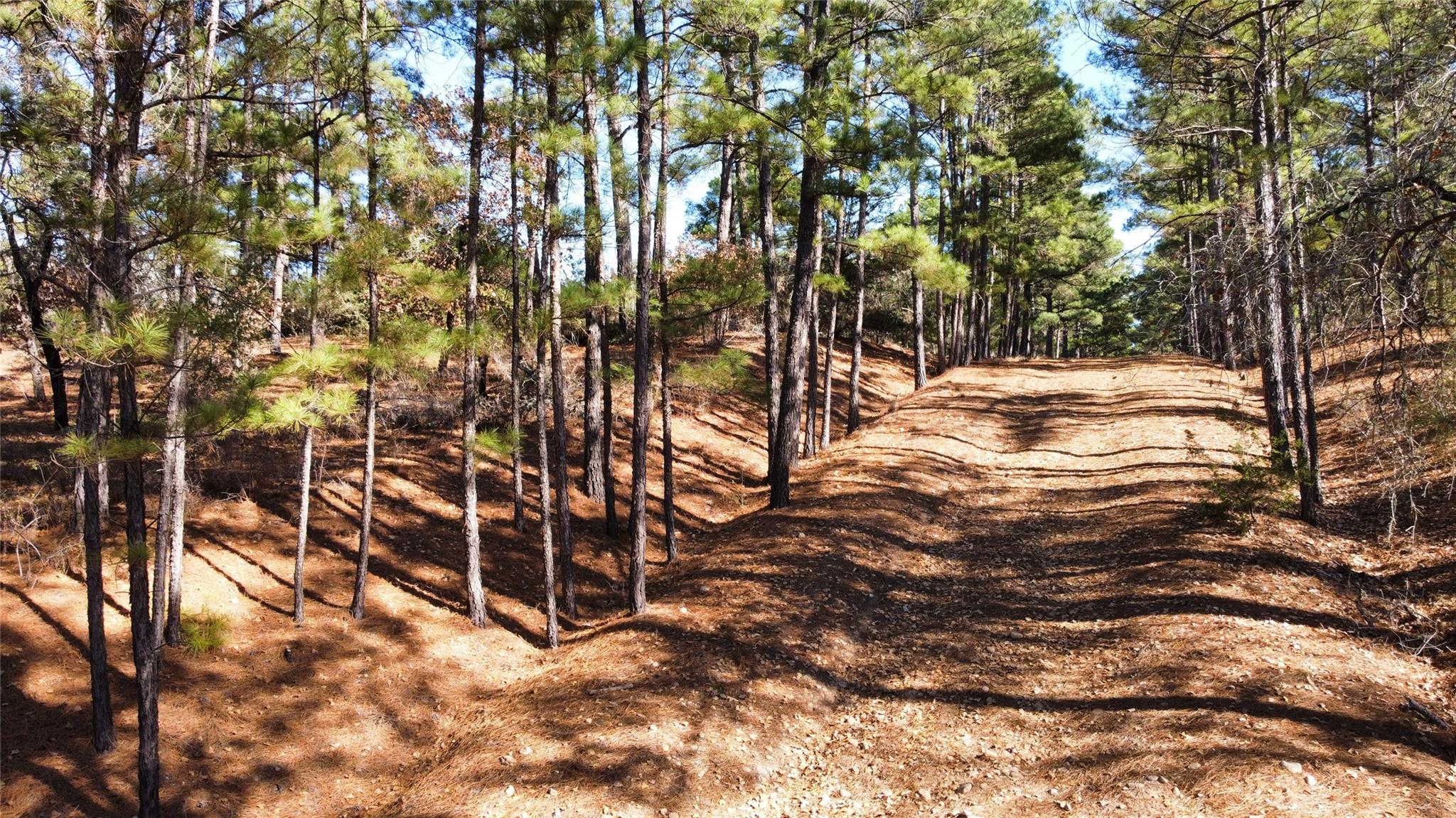 0 Pine Lodge Drive Lot 26, Bastrop, TX 78602