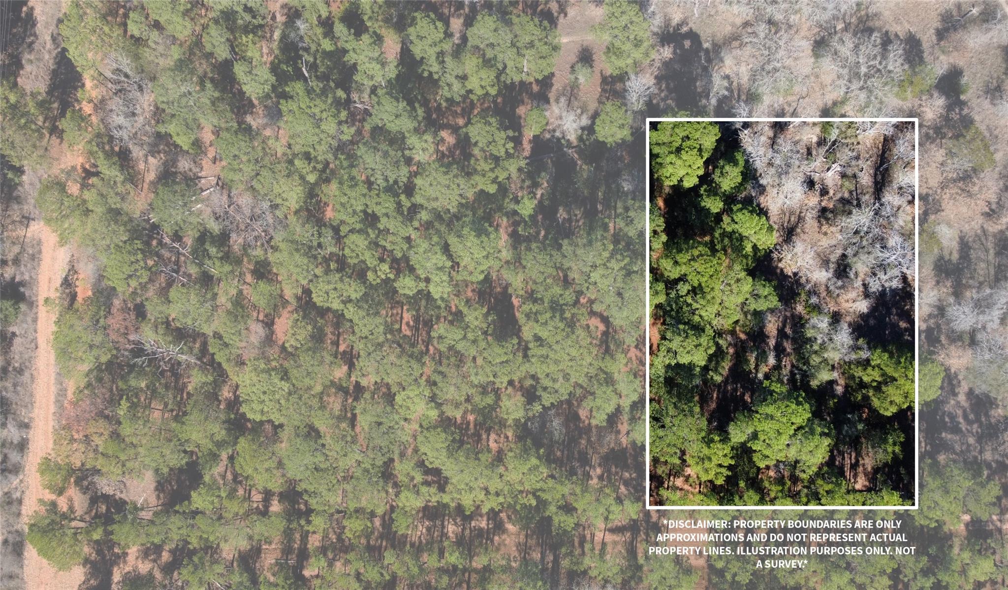 0 Pine Lodge Drive Lot 26, Bastrop, TX 78602