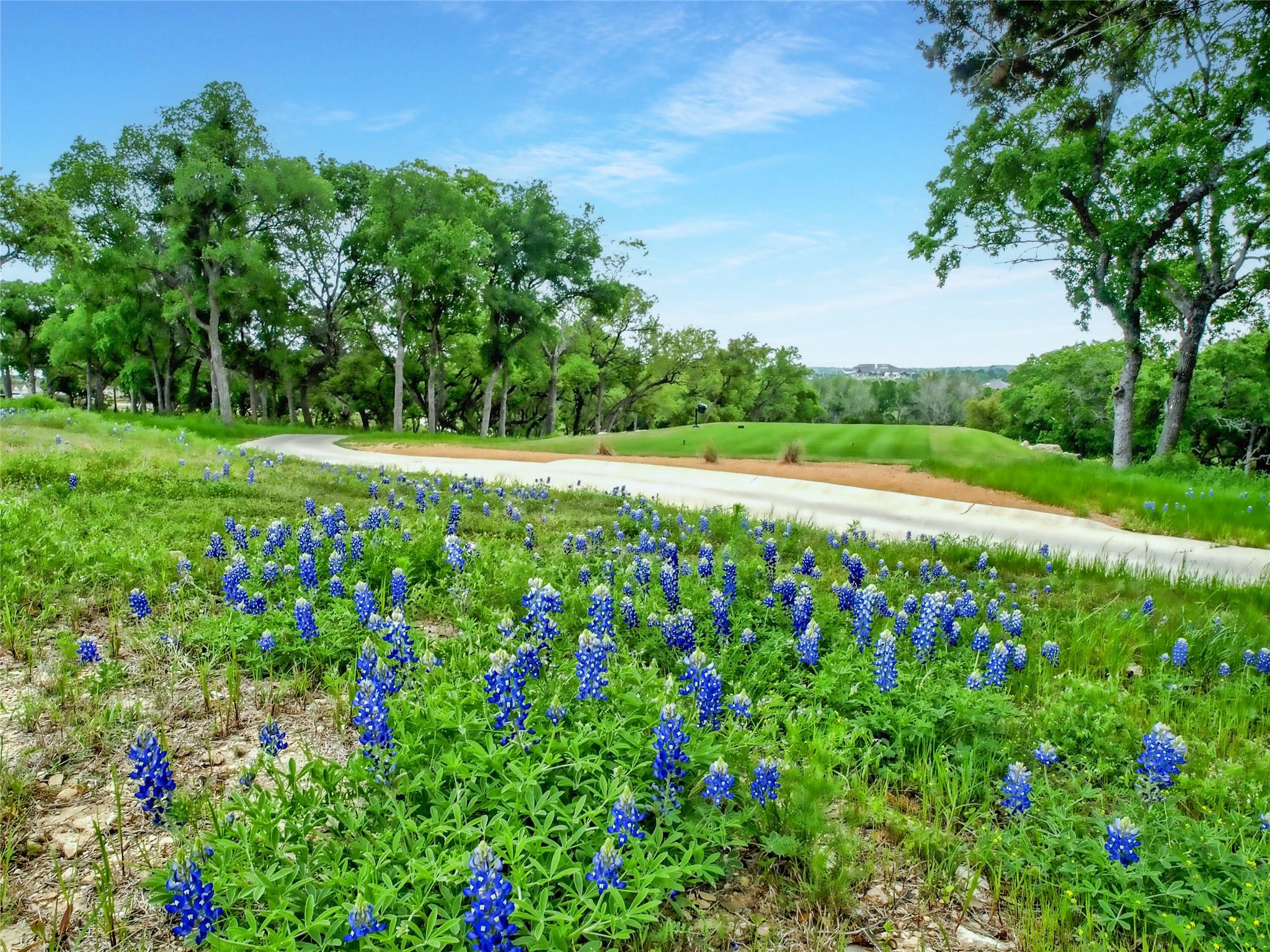 108 Diamond Point Rd, Georgetown, TX 78633