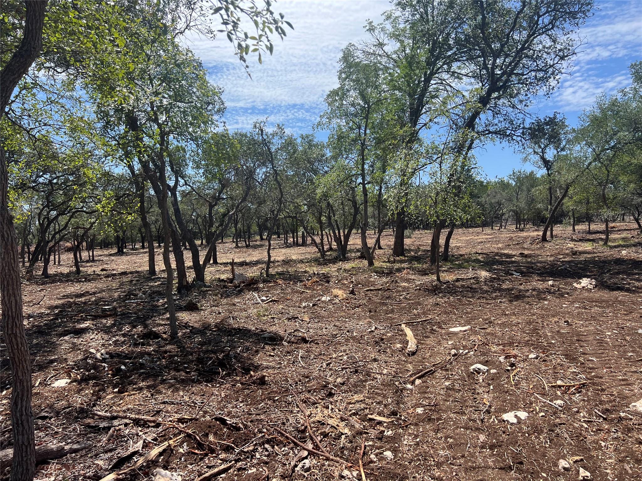 Lot 2 Trautwein Rd, Austin, TX 78737