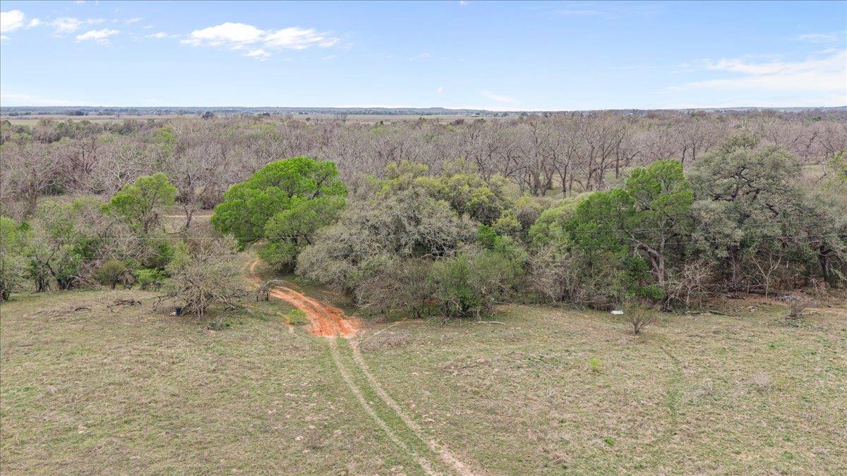TBD A23 CUNNINGHAM, JOHN C. , ACRES 29.0000 Rd, Smithville, TX 78957
