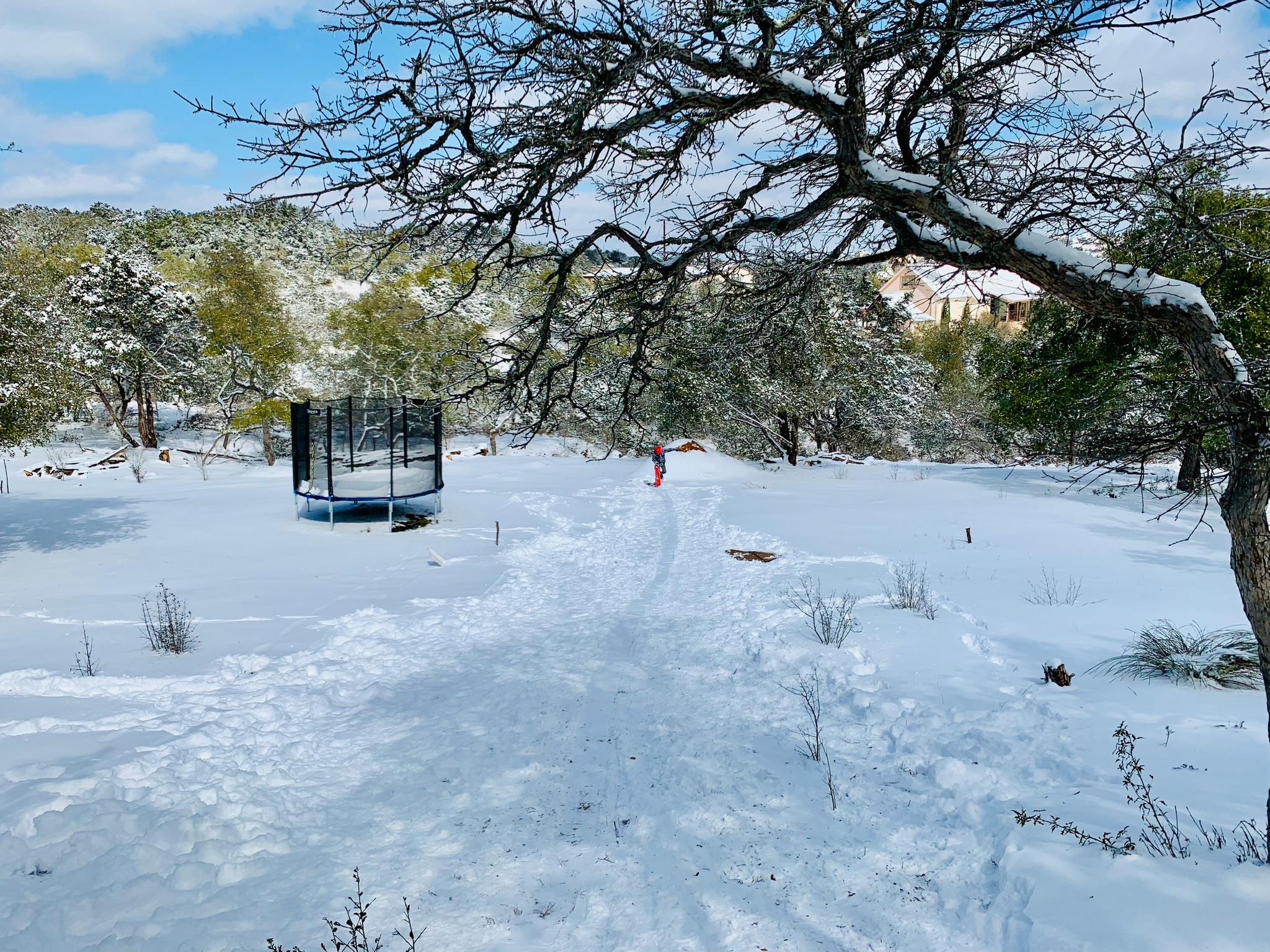 4005 Skillet Cv, Spicewood, TX 78669