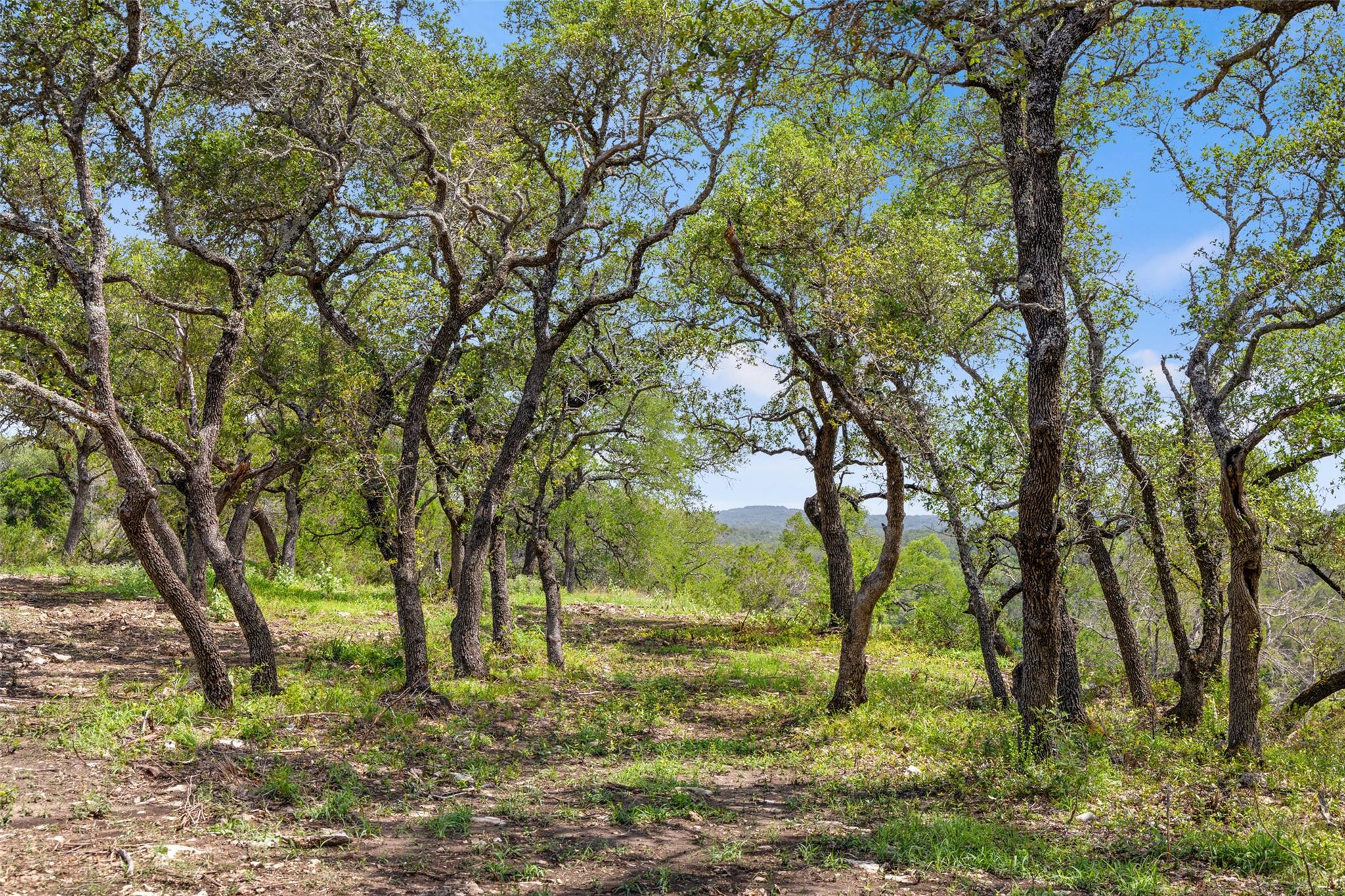 Lot 7 Pedernales Canyon Trl # Lot 7, Spicewood, TX 78669