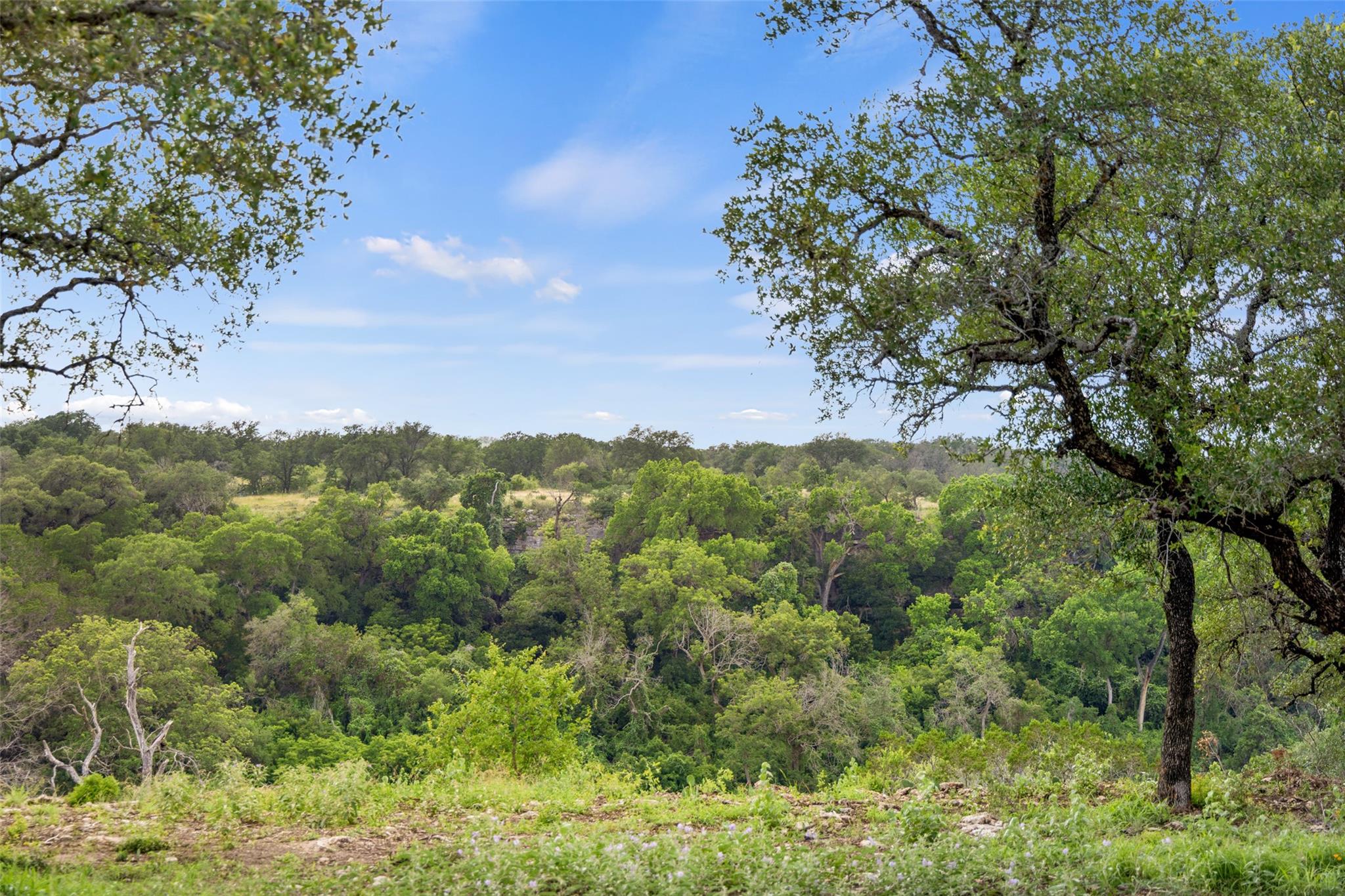Lot 7 Pedernales Canyon Trl # Lot 7, Spicewood, TX 78669