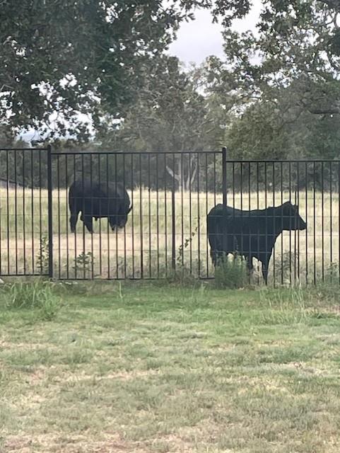 203 Zuma Dr, Liberty Hill, TX 78642