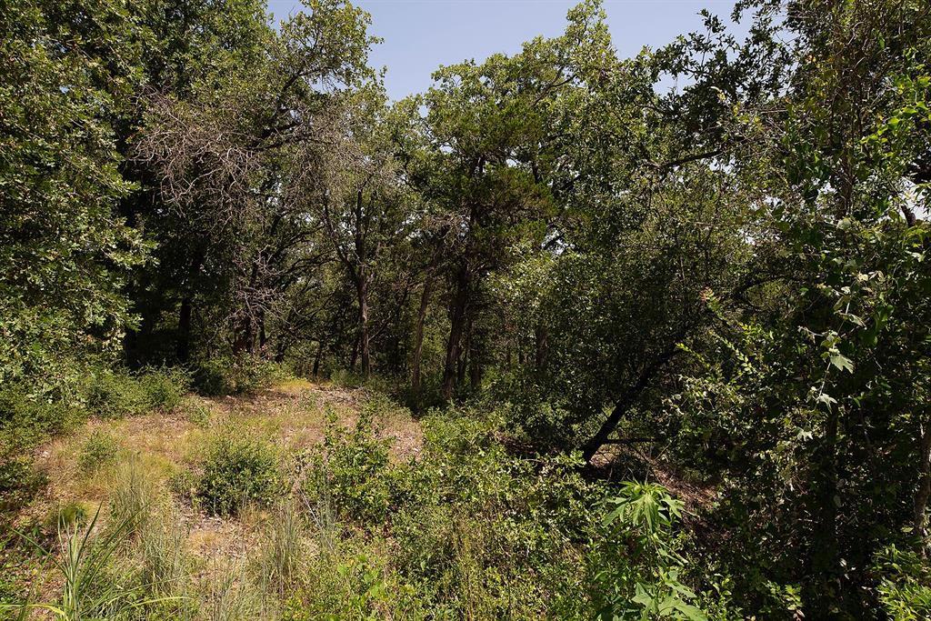 TBD Post Oak Rim Dr, Bastrop, TX 78602