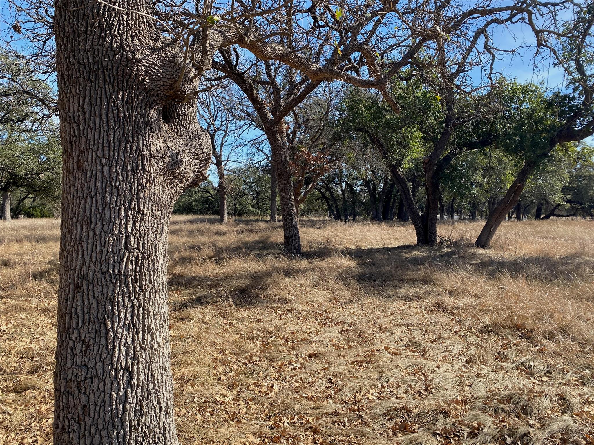 TBD Lightning Ranch Pt, Georgetown, TX 78628