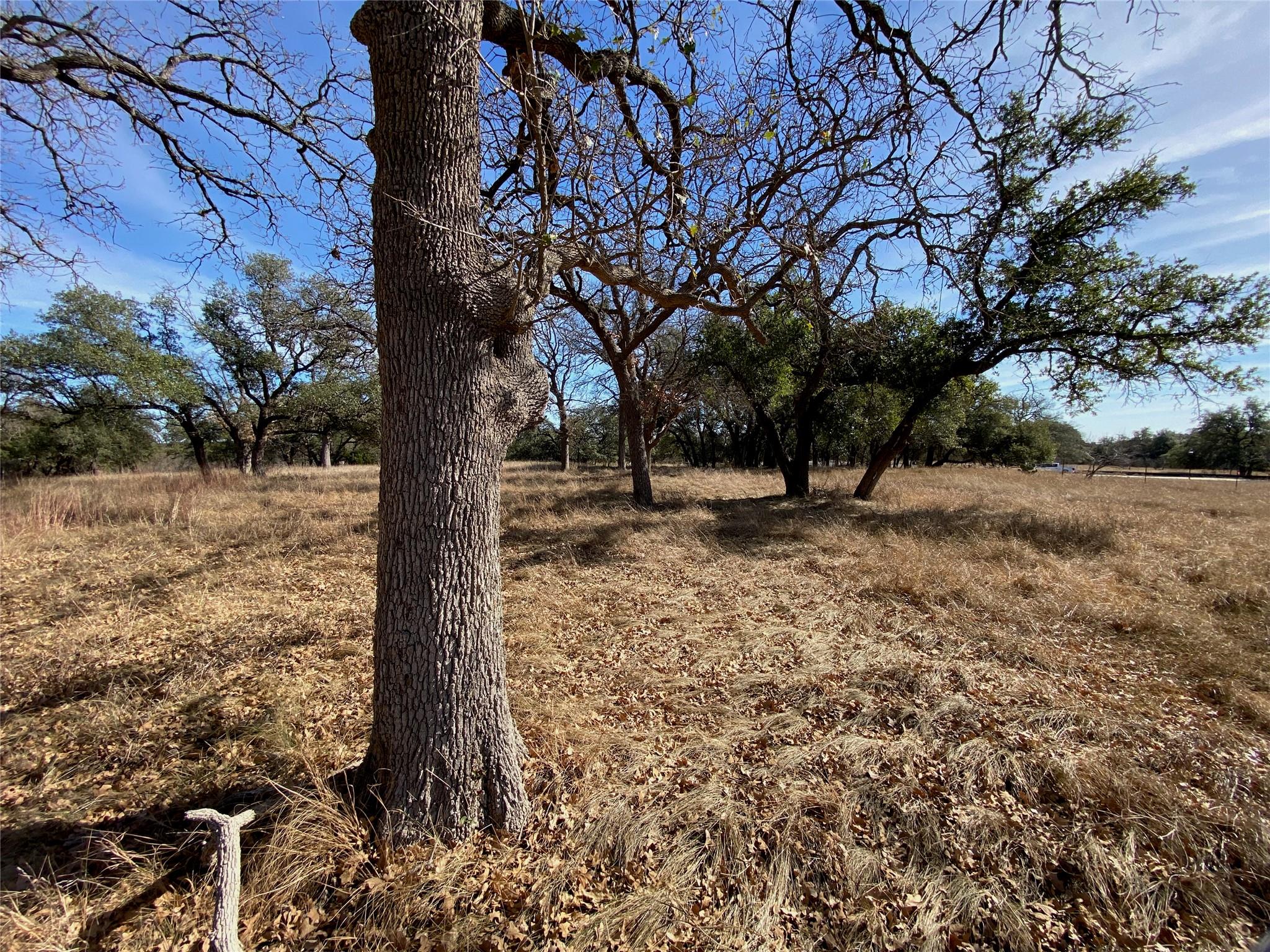 TBD Lightning Ranch Pt, Georgetown, TX 78628