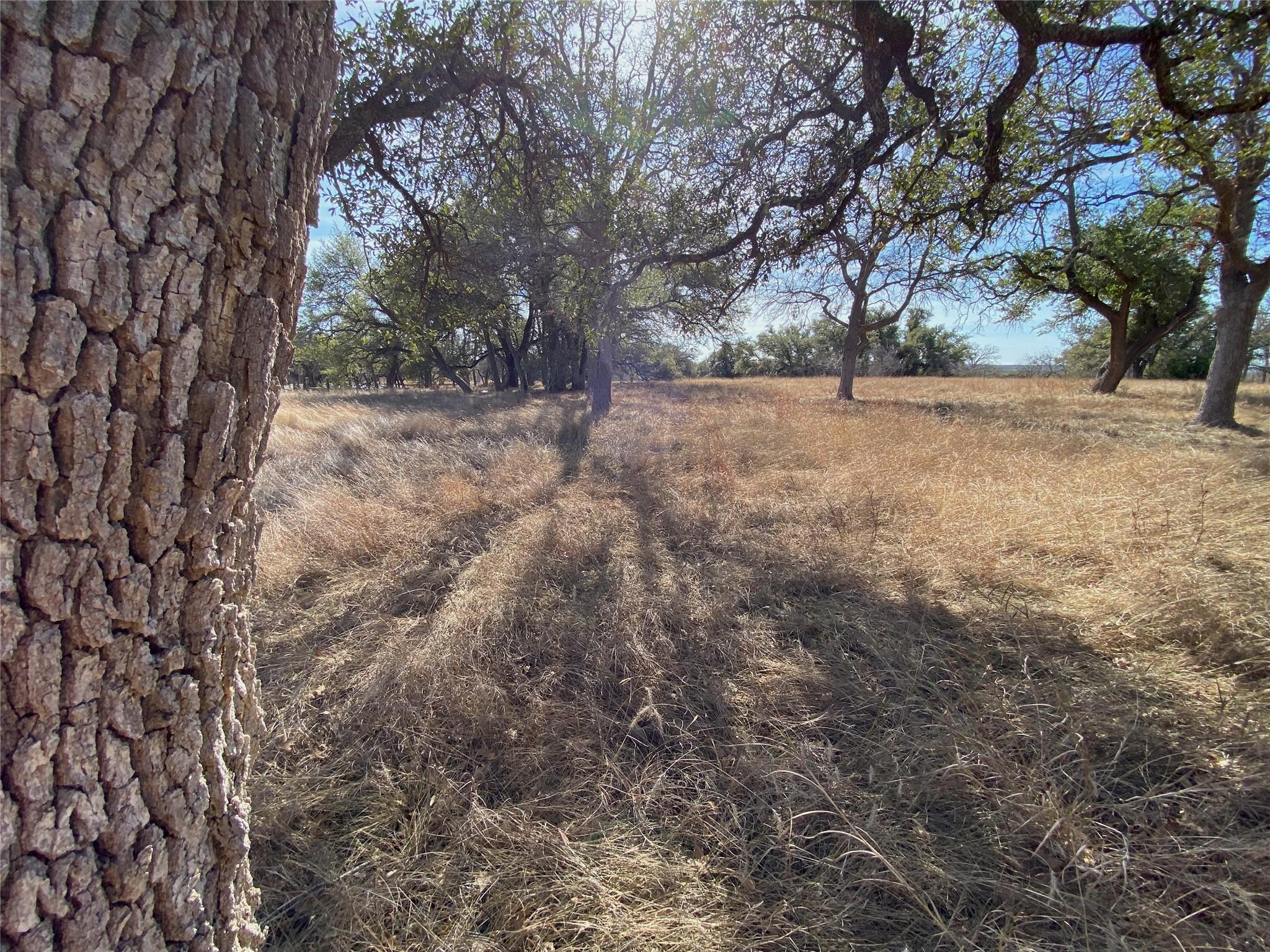 TBD Lightning Ranch Pt, Georgetown, TX 78628