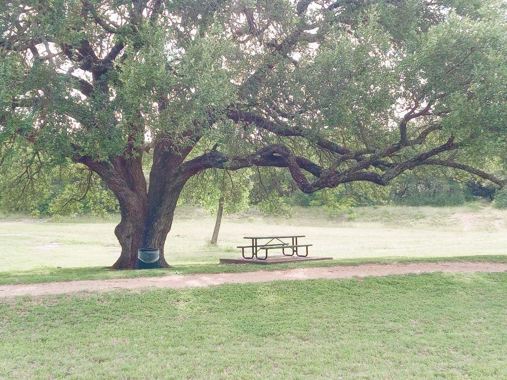 509 Paso Fino Trl, Cedar Park, TX 78613