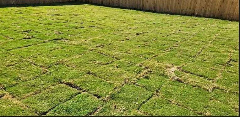 3012 shore Lark, New Braunfels, TX 78130