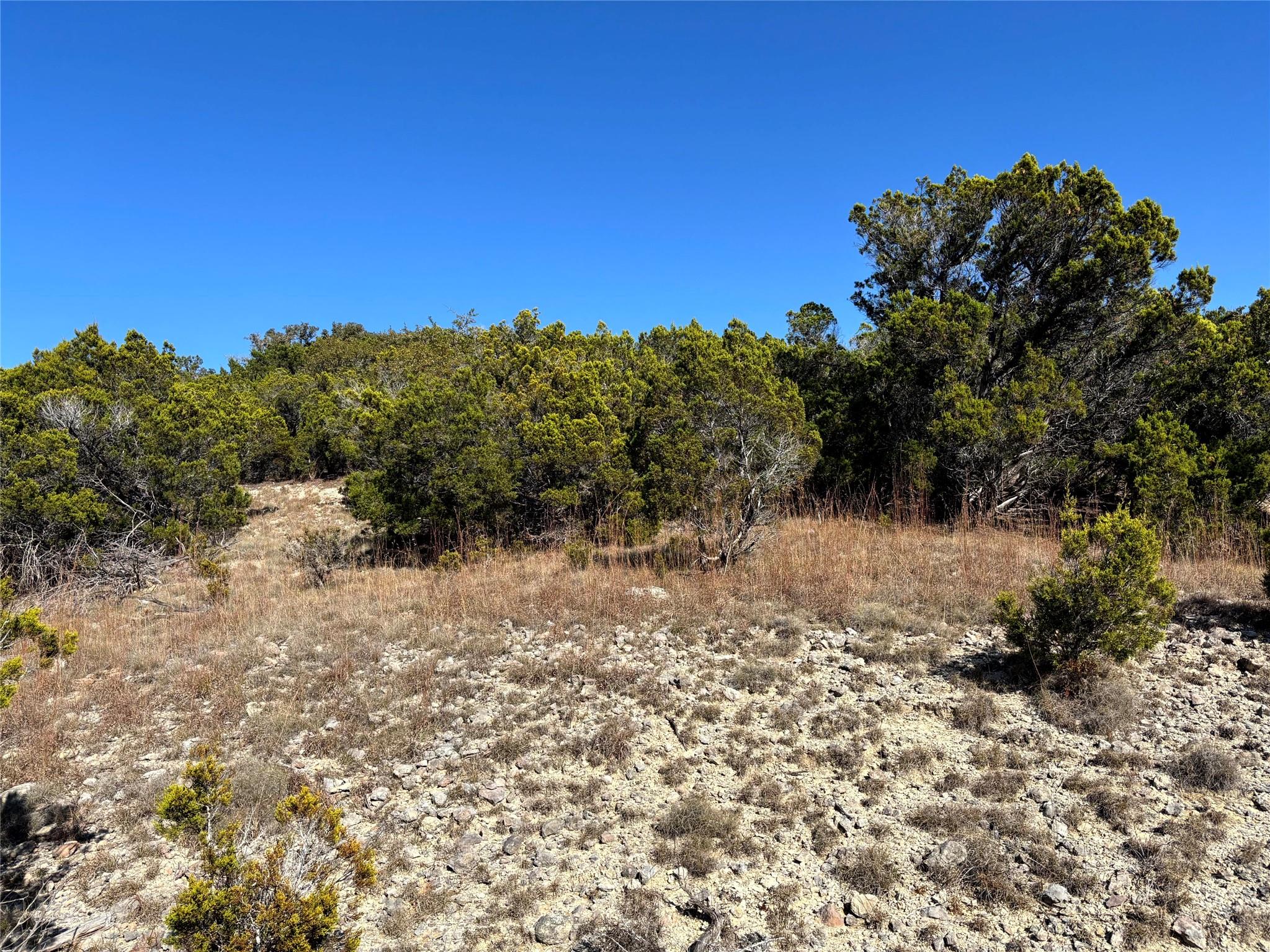 21924 Nameless Rd, Leander, TX 78641