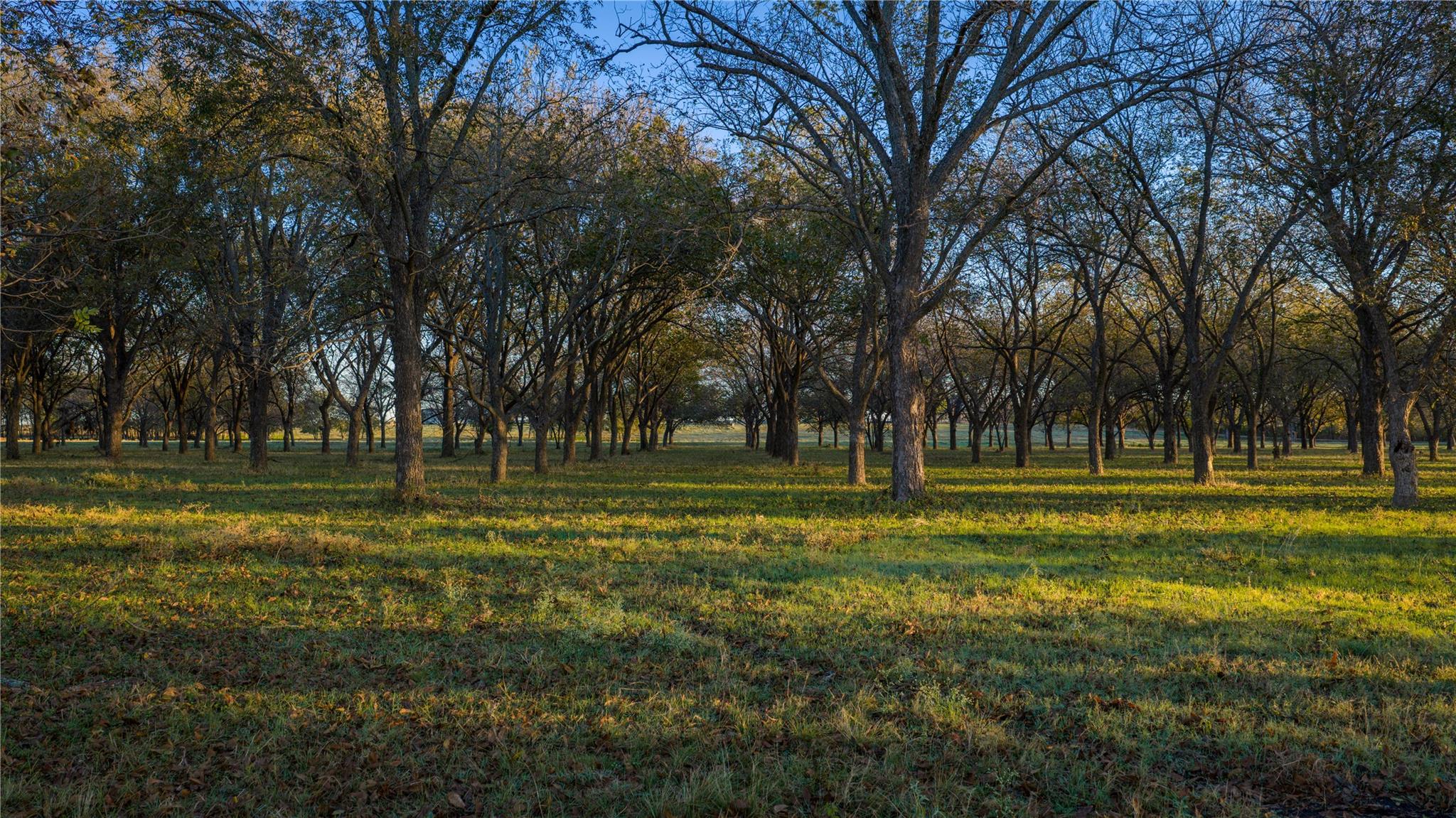 8323 E State Highway 29, Georgetown, TX 78626