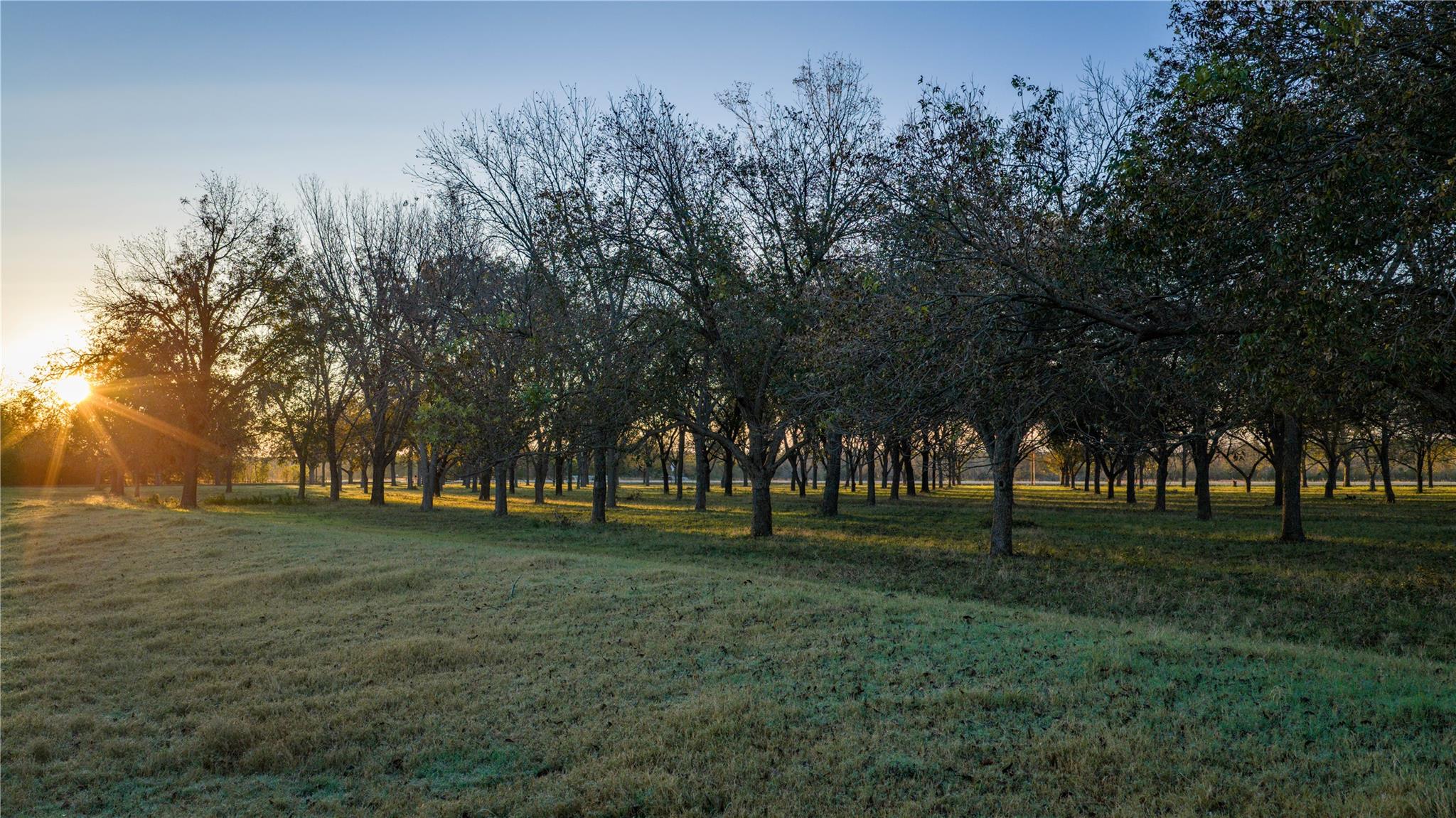 8323 E State Highway 29, Georgetown, TX 78626