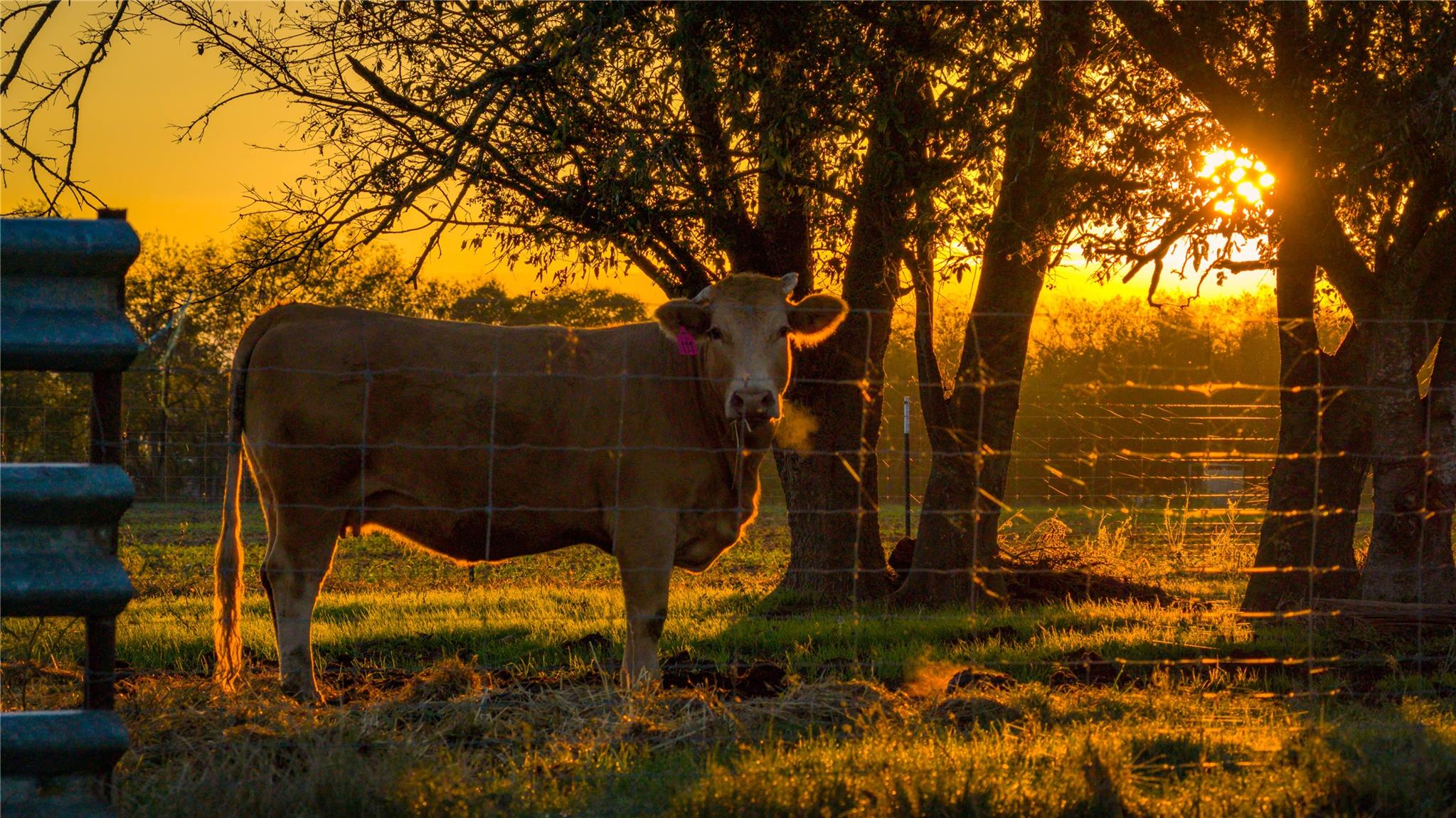 8323 E State Highway 29, Georgetown, TX 78626