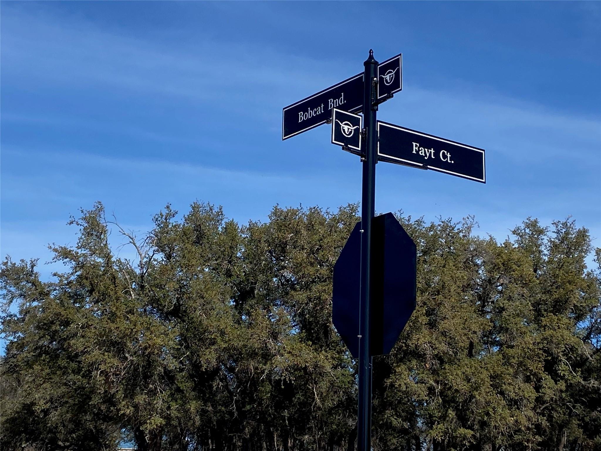 TBD Fayt Ct, Georgetown, TX 78628