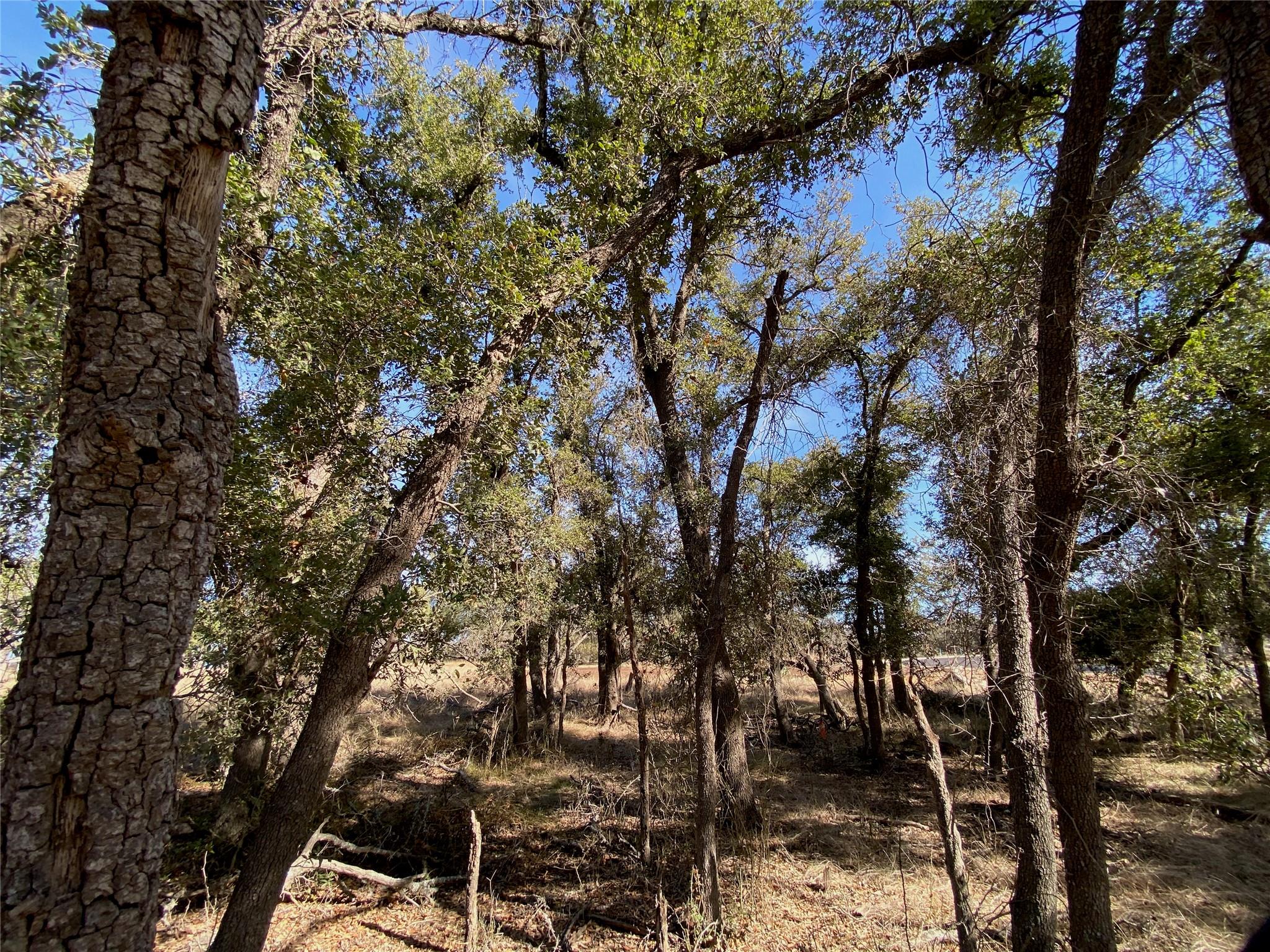 TBD Fayt Ct, Georgetown, TX 78628