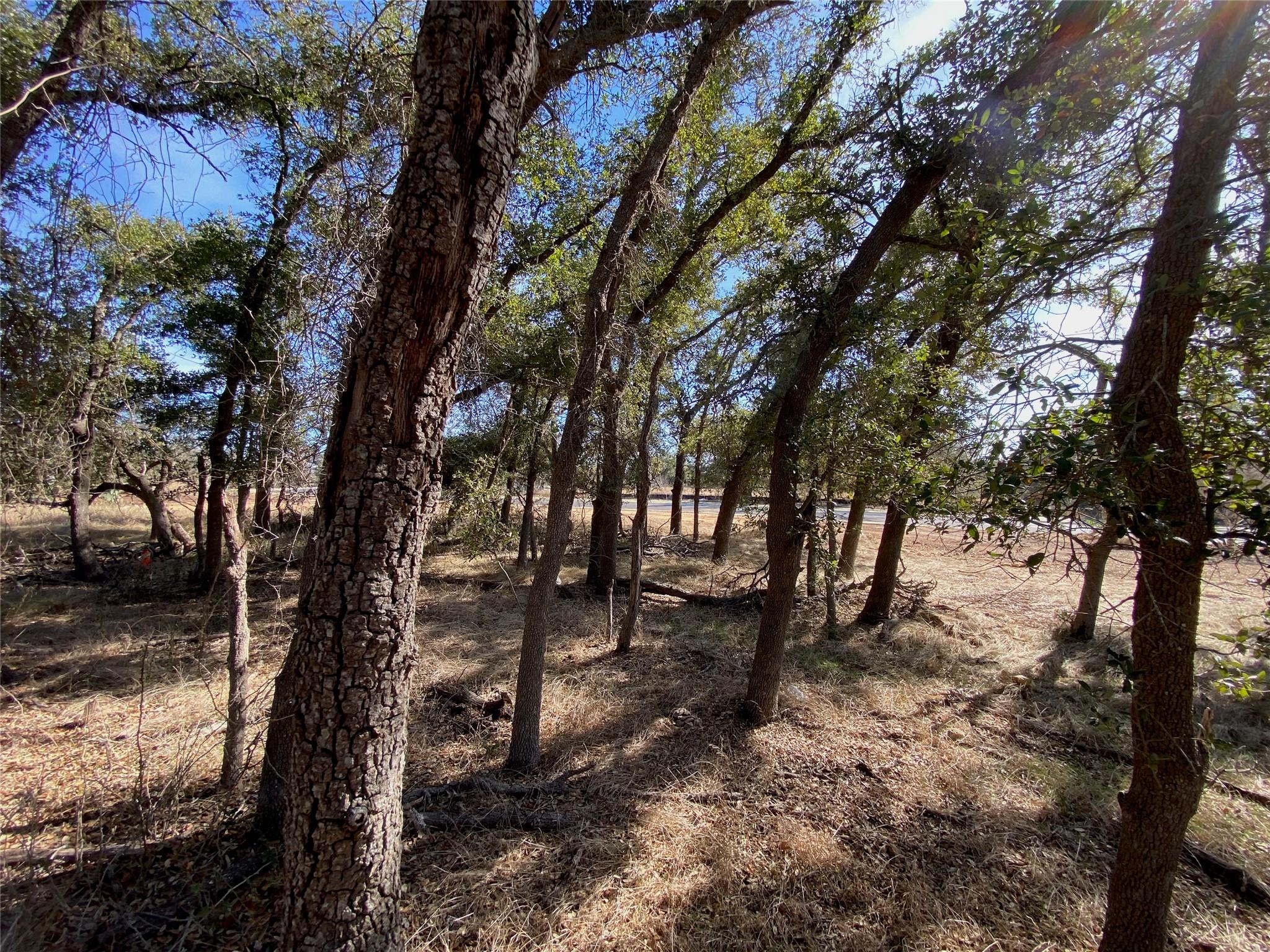 TBD Fayt Ct, Georgetown, TX 78628