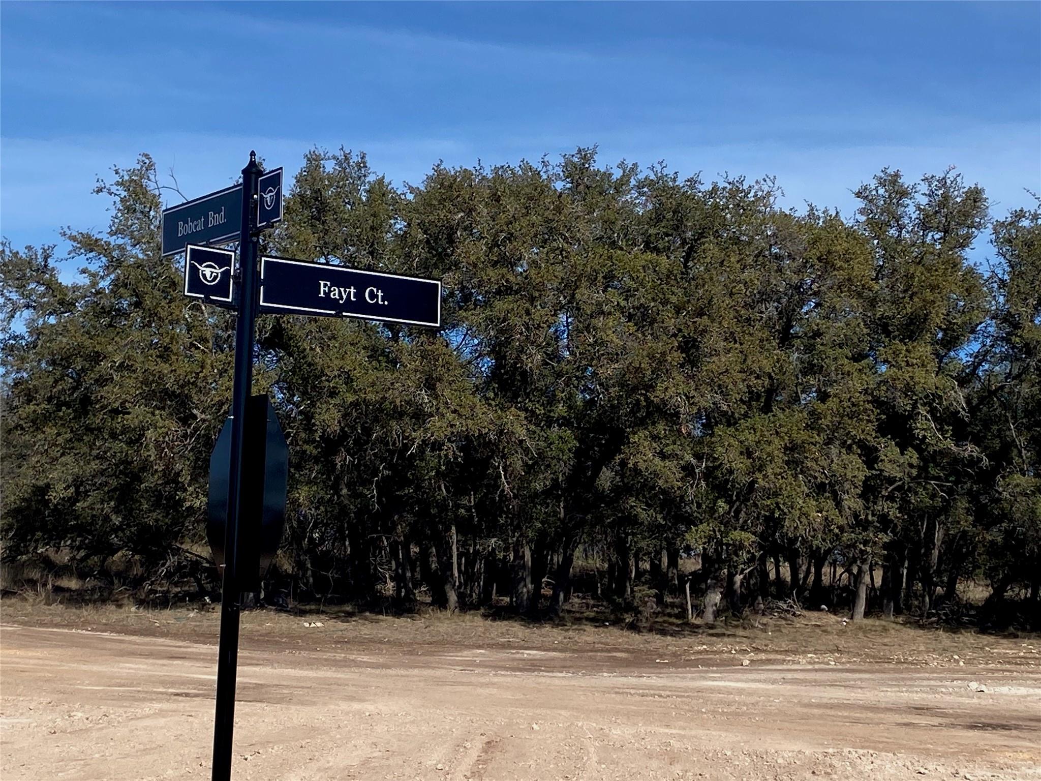 TBD Fayt Ct, Georgetown, TX 78628