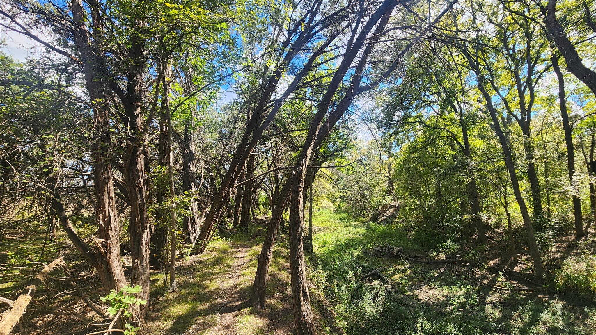 25615 Ronald W Reagan Blvd, Georgetown, TX 78633