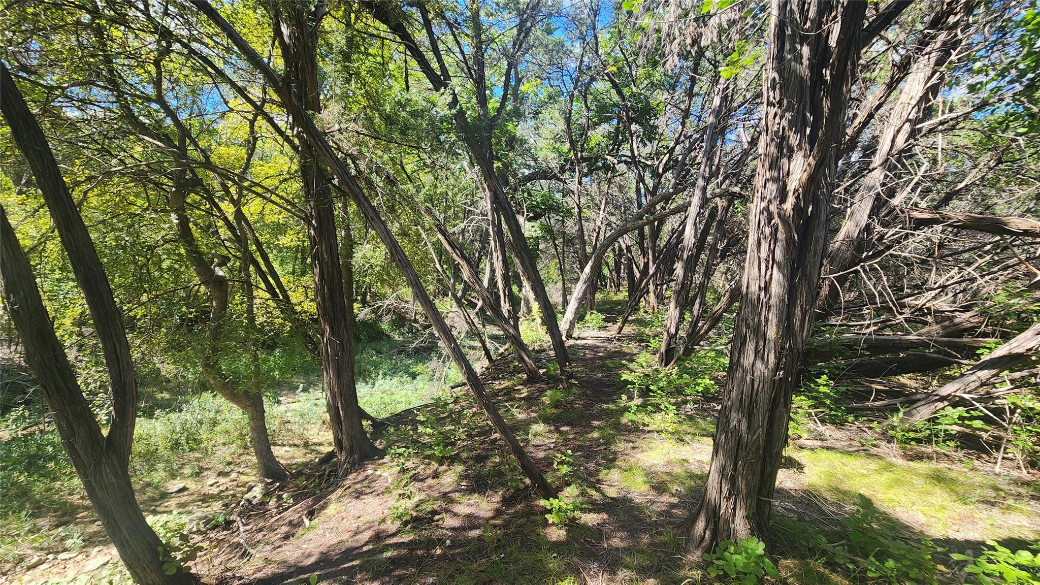 25615 Ronald W Reagan Blvd, Georgetown, TX 78633